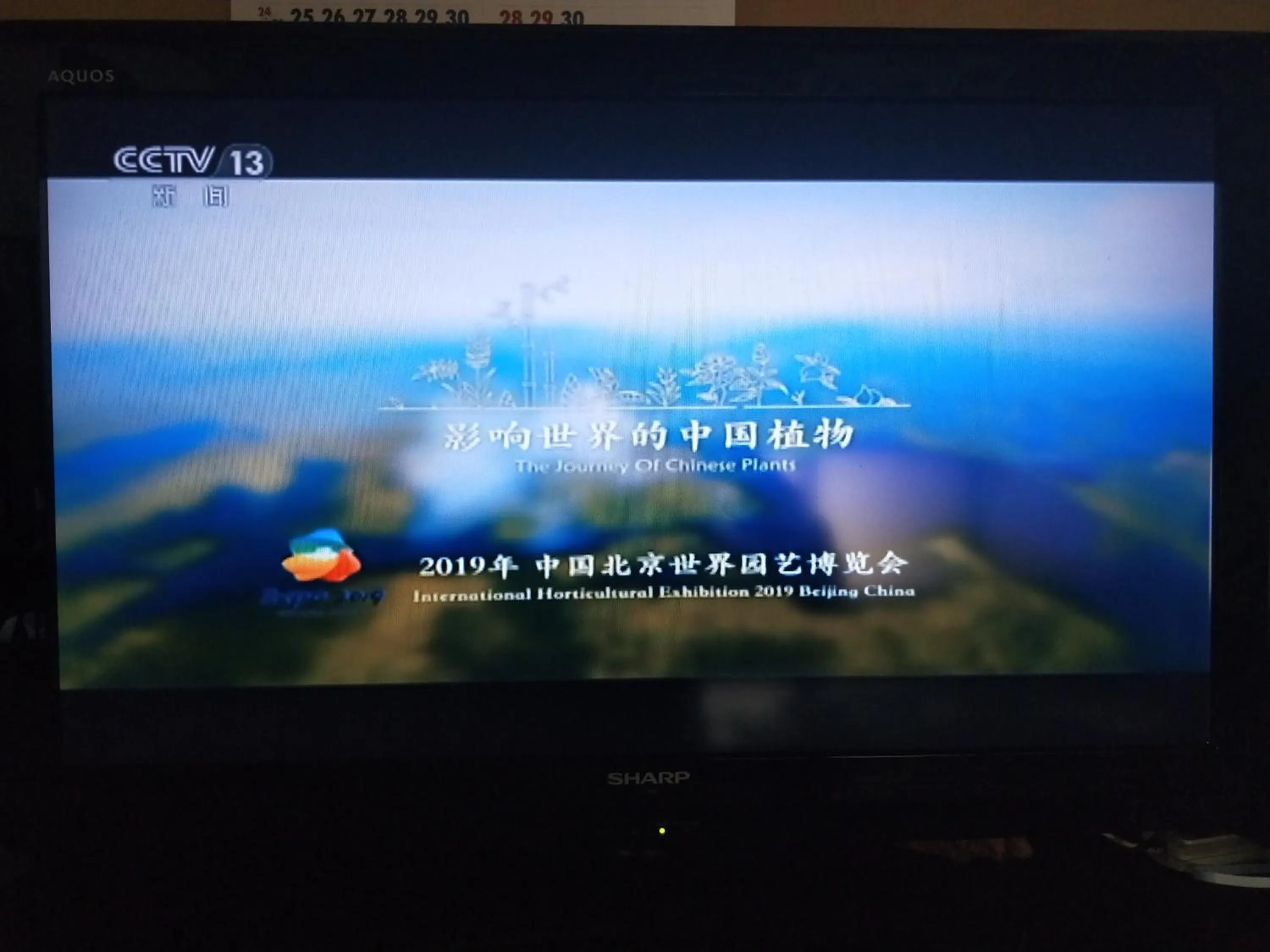 Izu Hokkawa Seaside Guesthouse 伊豆北川の家