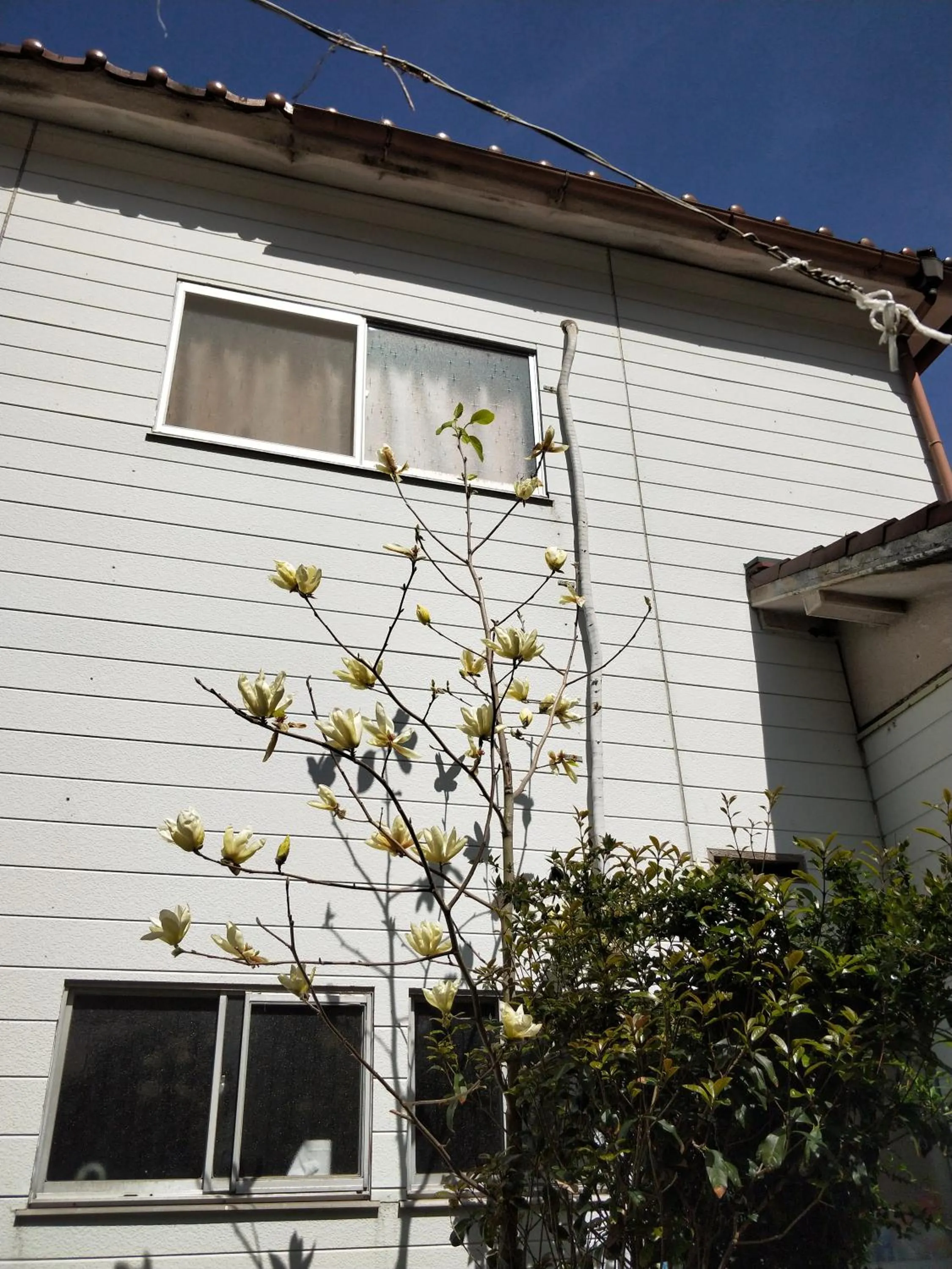 Izu Hokkawa Seaside Guesthouse 伊豆北川の家