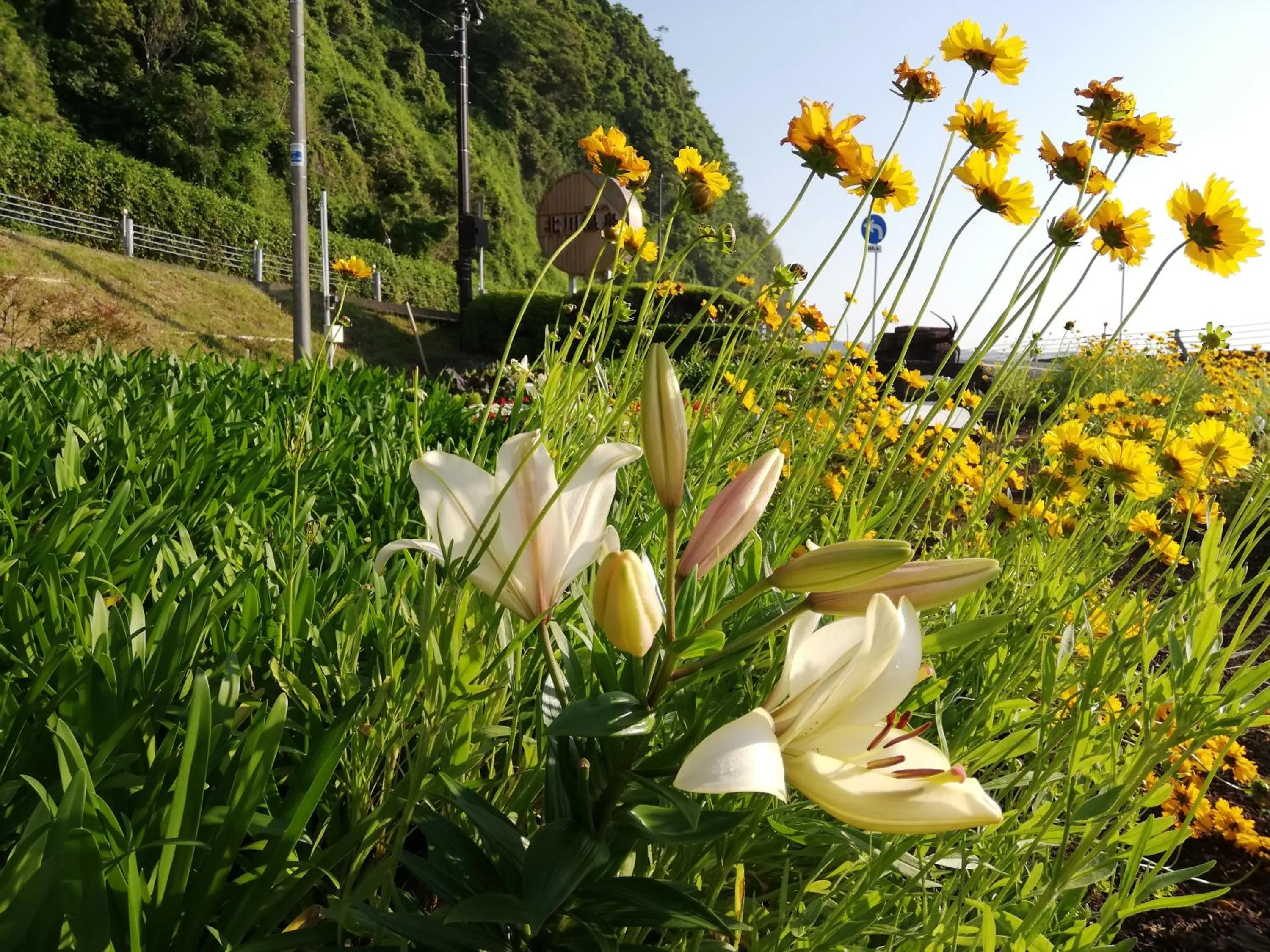 Izu Hokkawa Seaside Guesthouse 伊豆北川の家