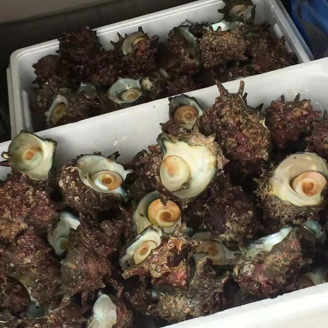 Izu Hokkawa Seaside Guesthouse 伊豆北川の家