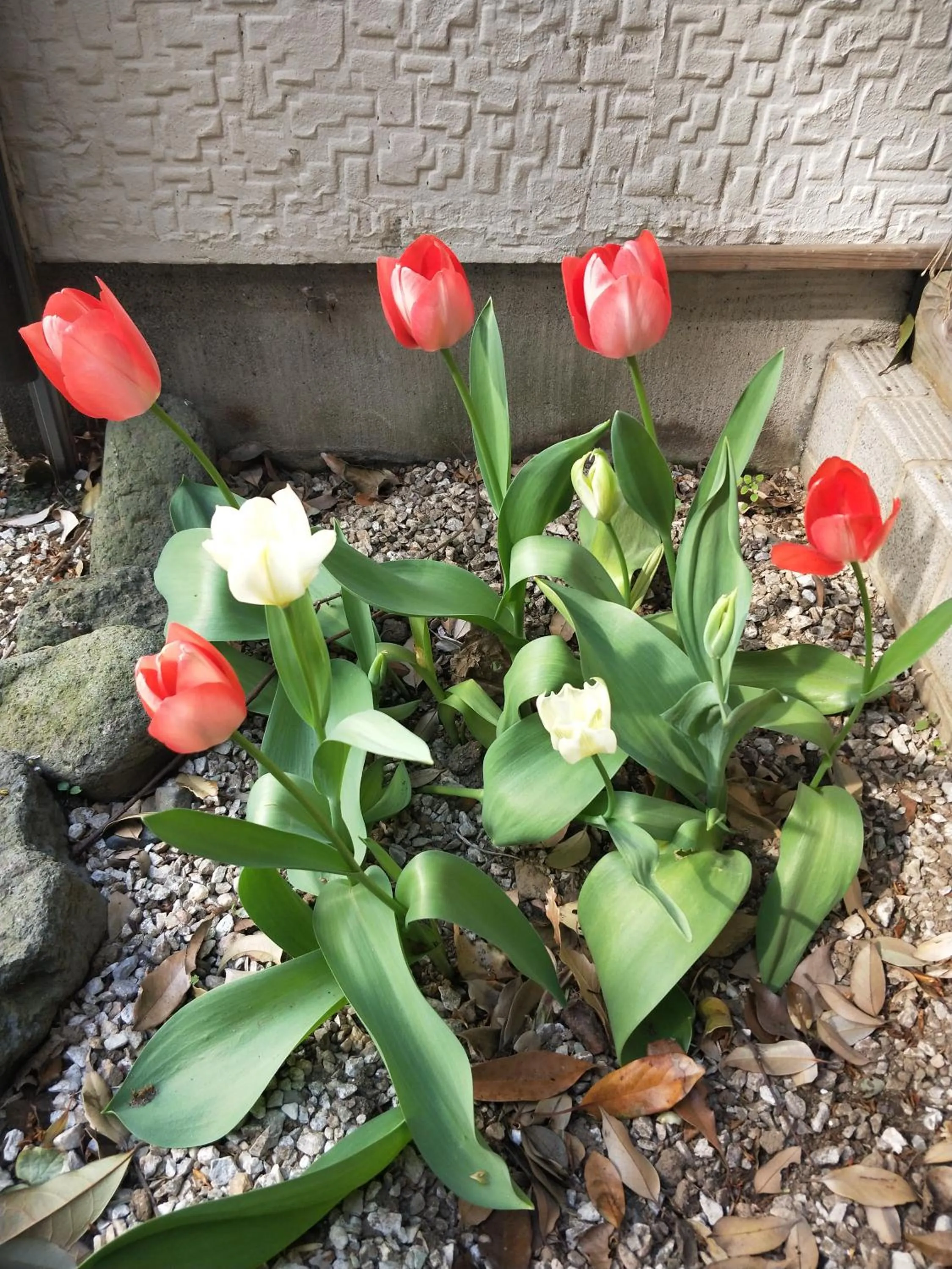 Izu Hokkawa Seaside Guesthouse 伊豆北川の家