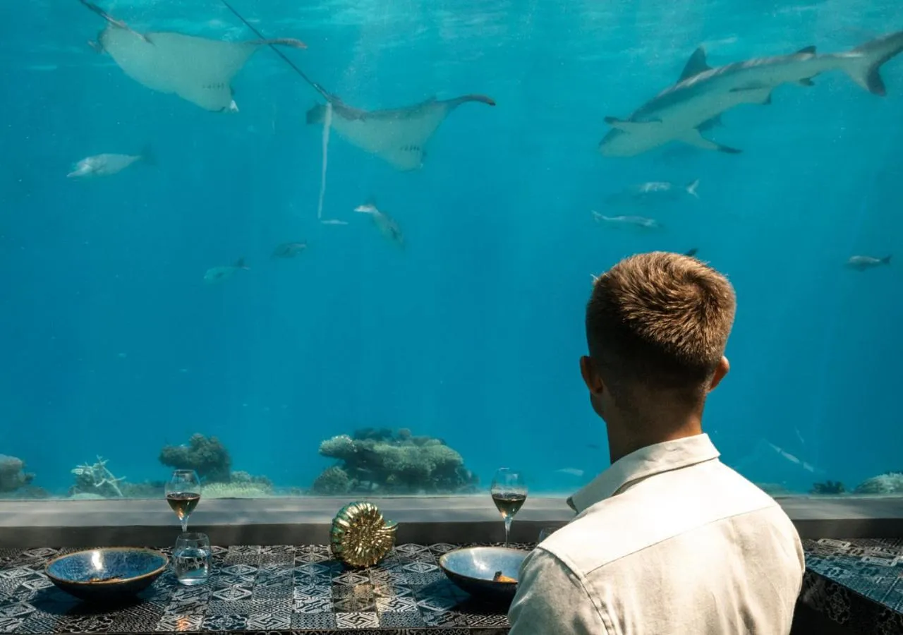 Natural landscape in You & Me Maldives - Adults Only - Premium All-Inclusive