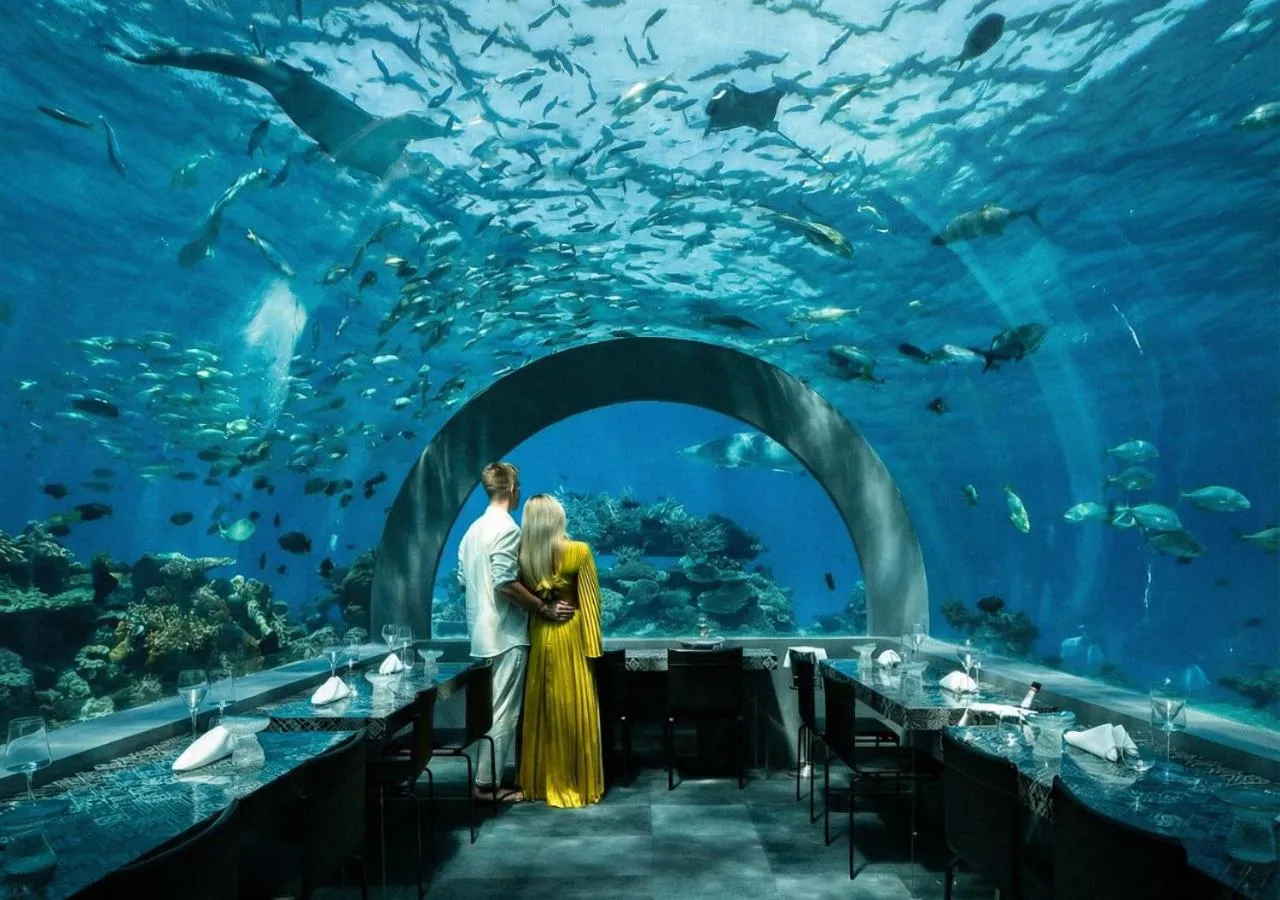 Restaurant/places to eat in You & Me Maldives - Adults Only - Premium All-Inclusive