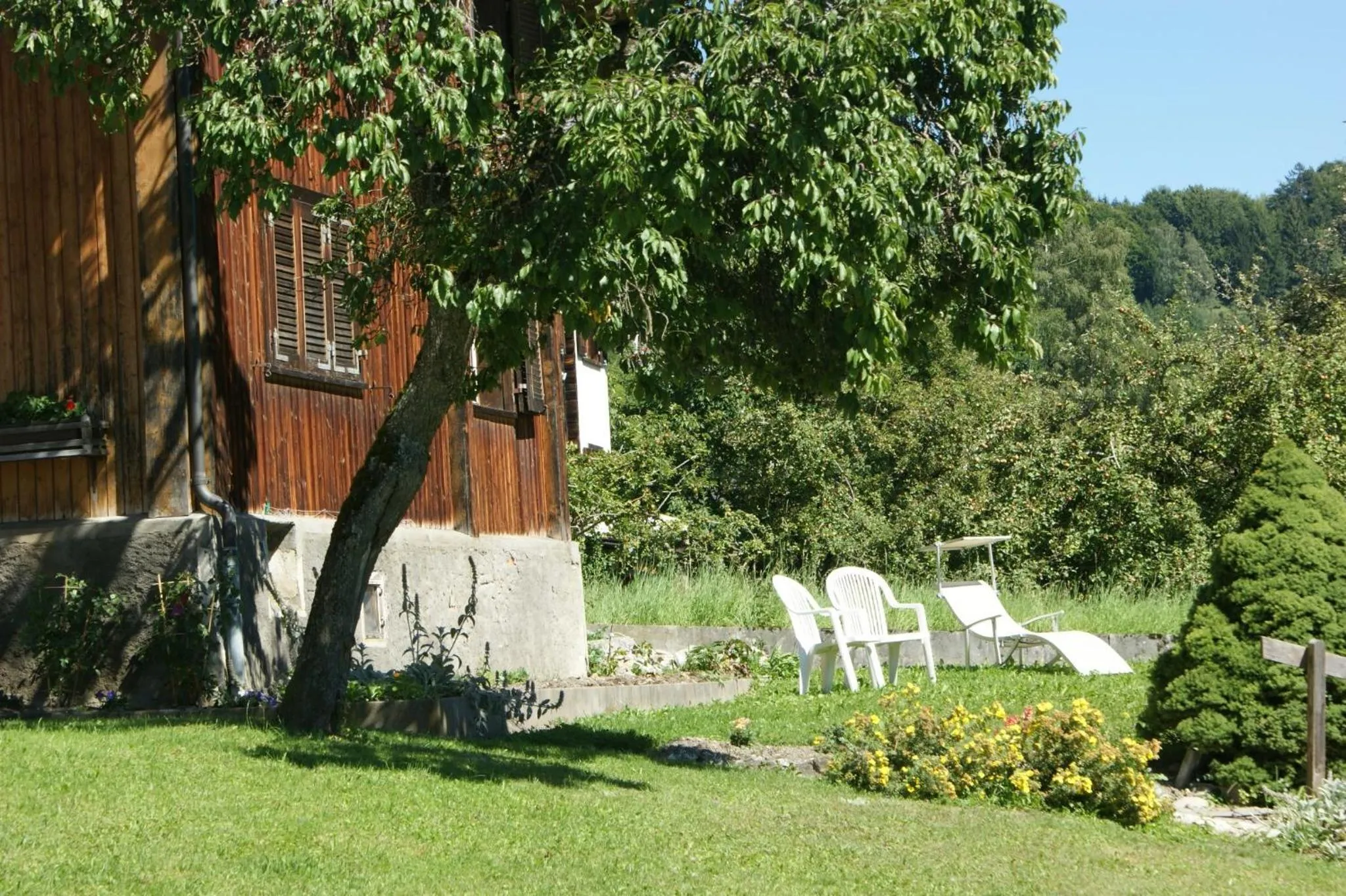 Garden in Gästehaus Alpina in Fanas