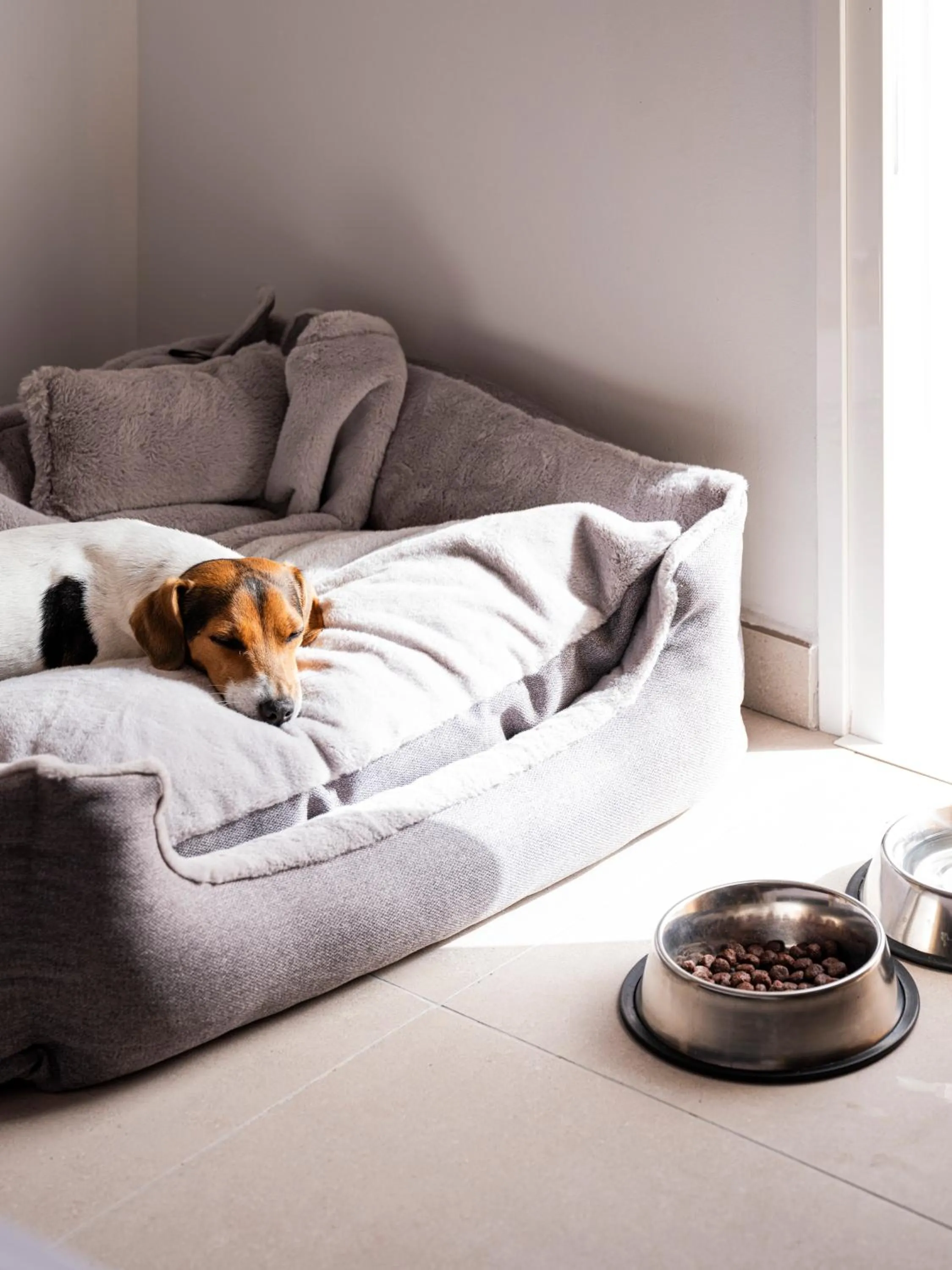 Animals, Bed in Sholeo Lodges Los Gigantes