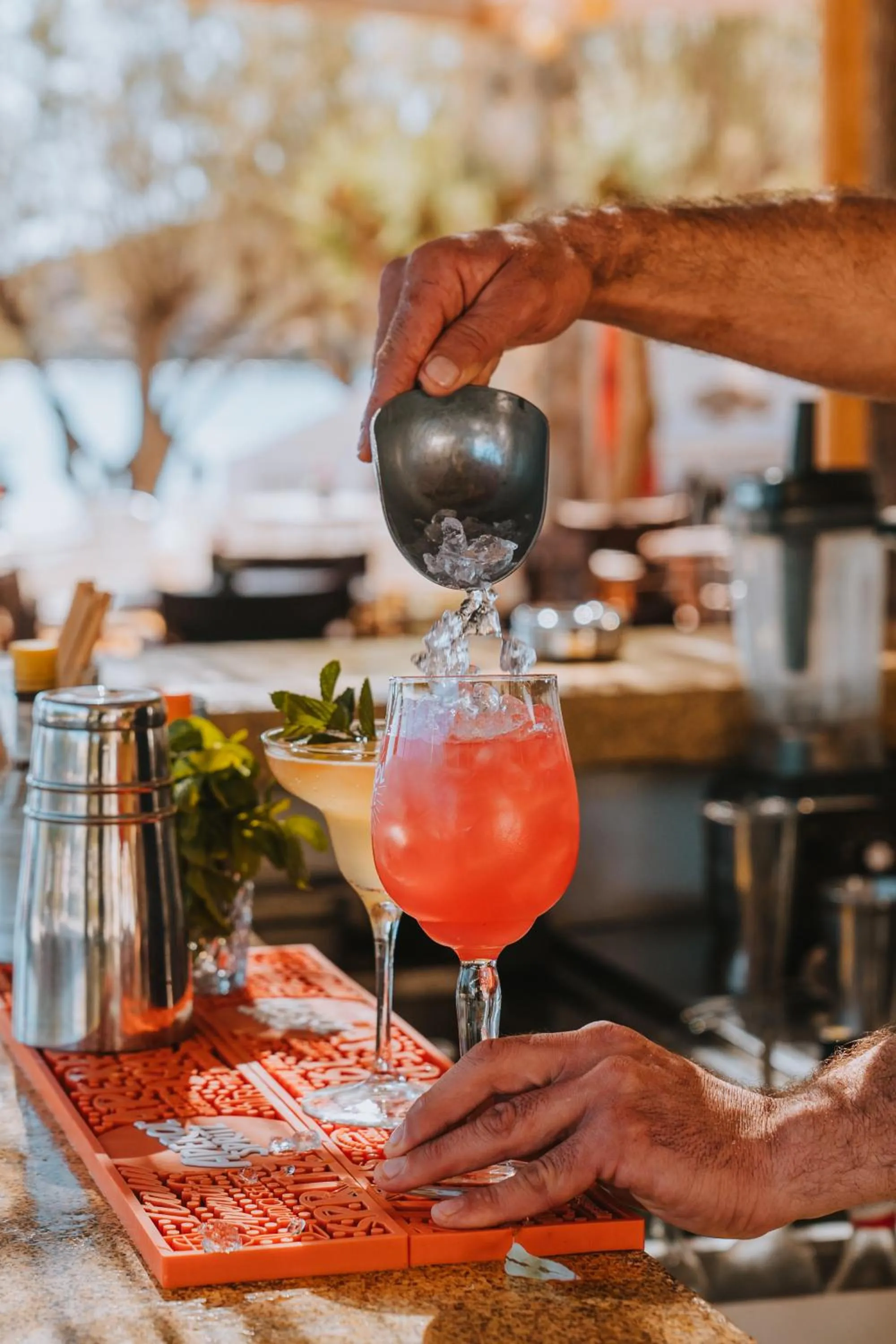 Lounge or bar in Coralli Seaside Resort