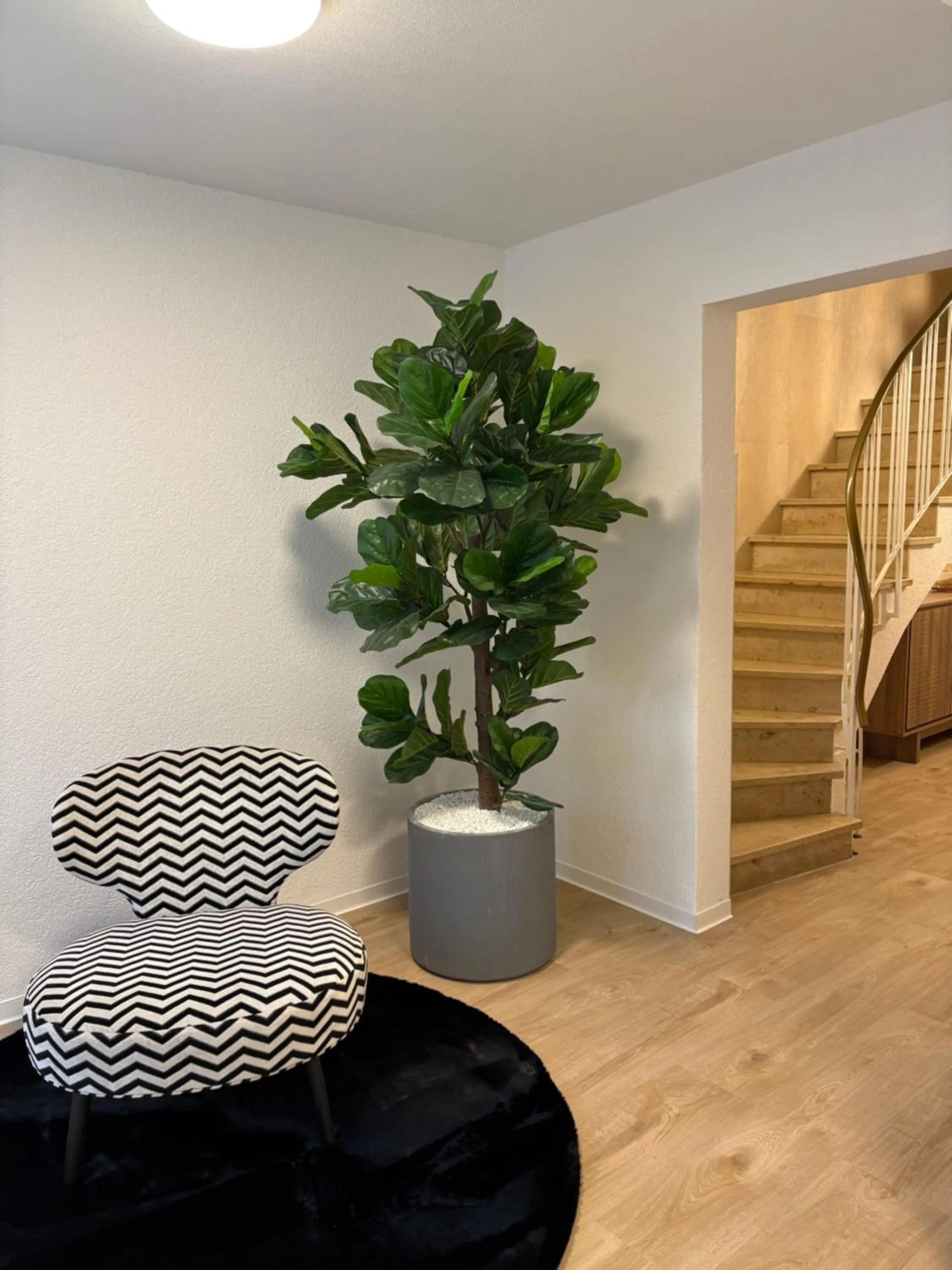 Facade/entrance in BC Hotel Bad Kreuznach mit Restaurant Mühlentor