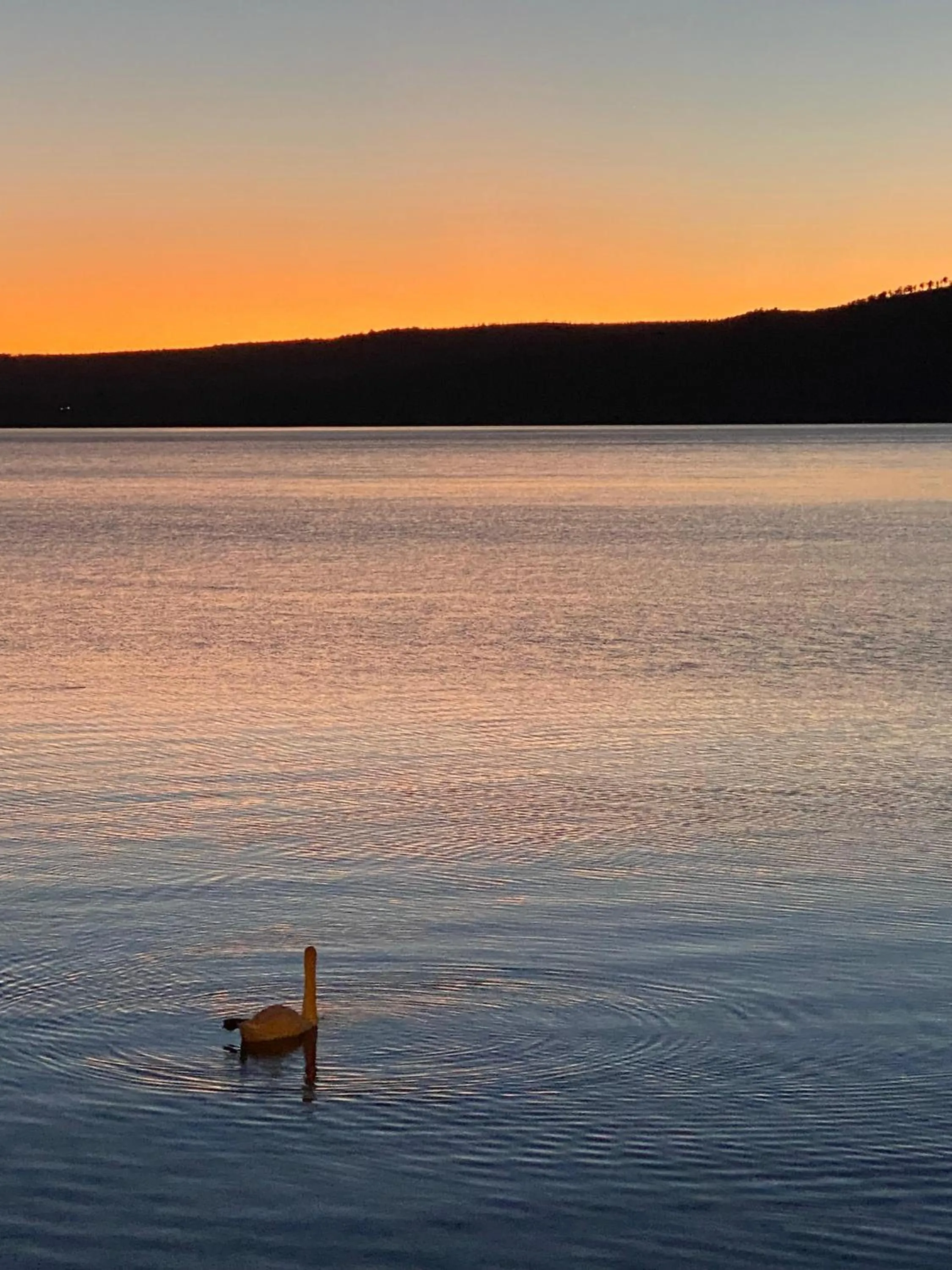 Hotel Borgo Vistalago