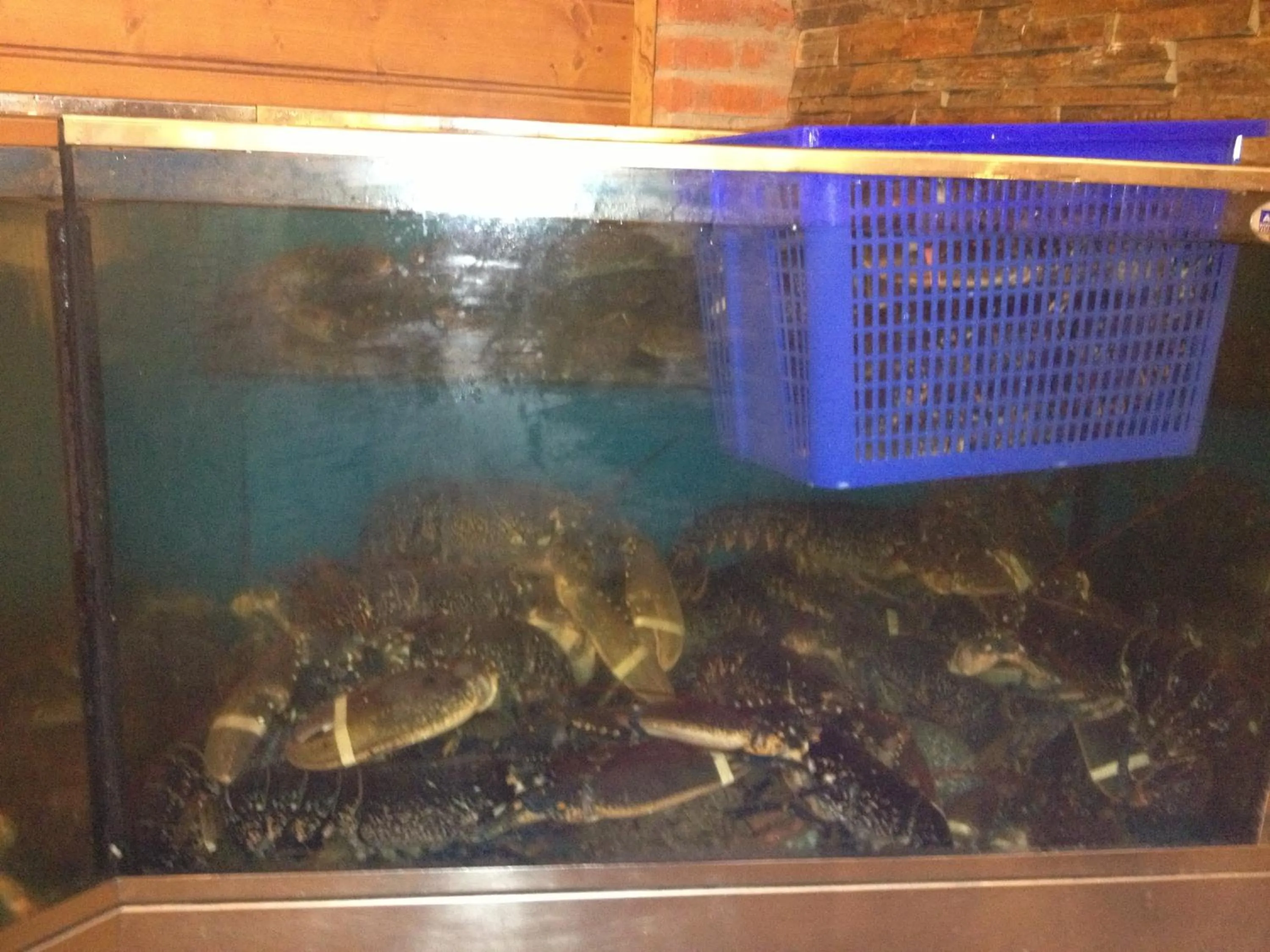 Day in Hosteria San Emeterio