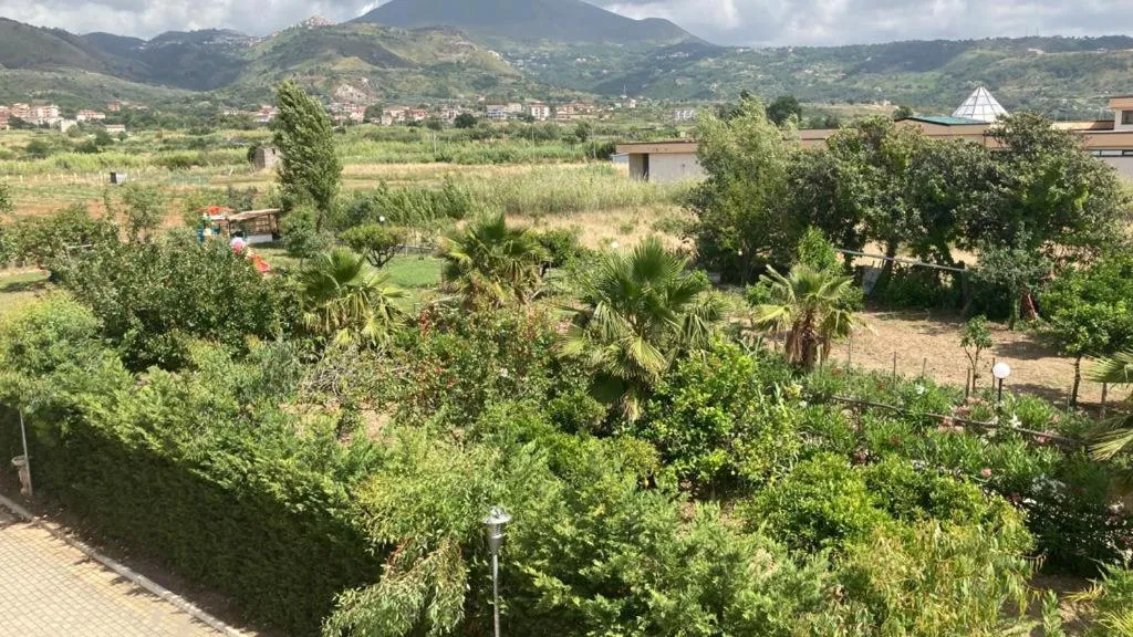 Property building in Suite Hotel Dominicus