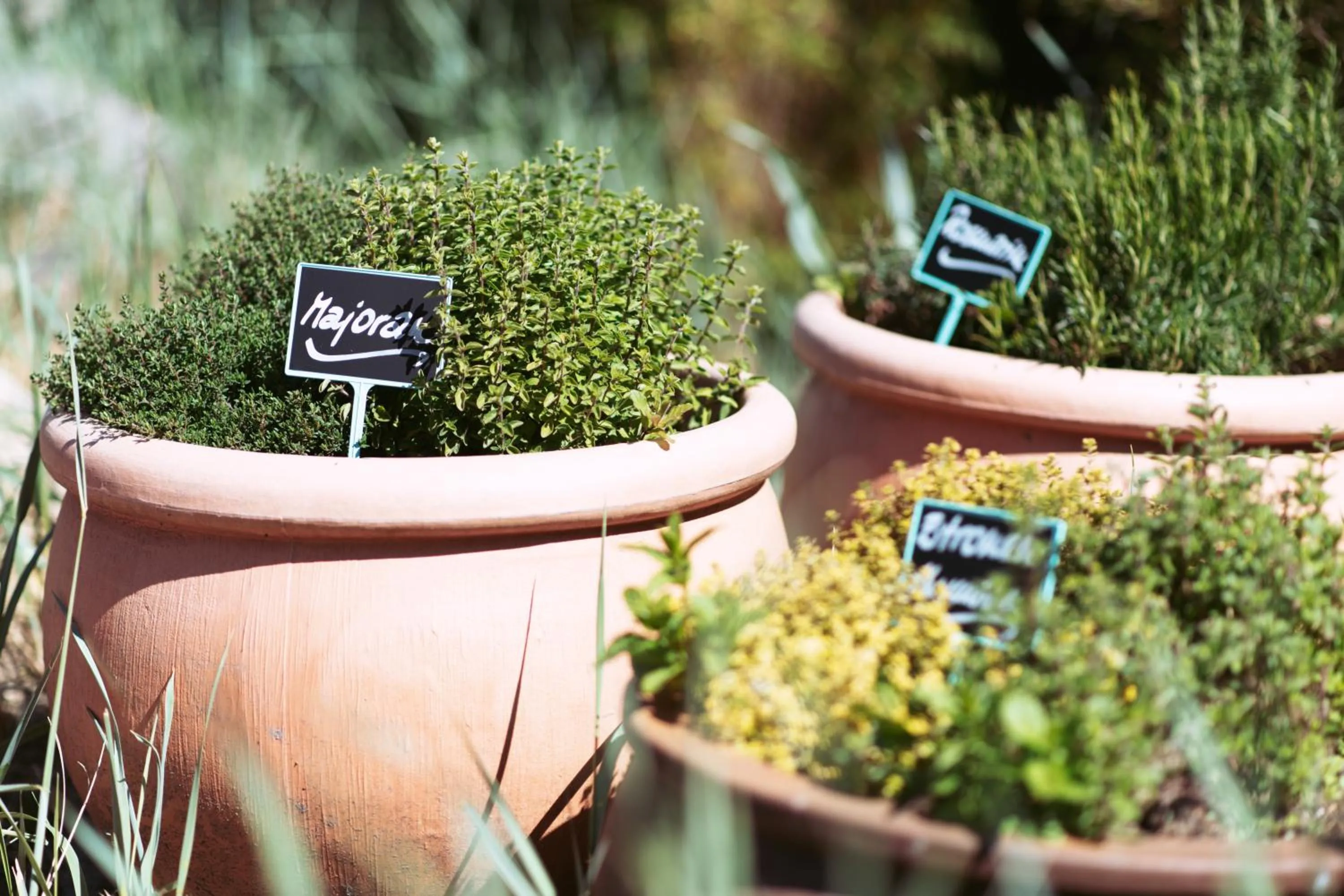 Seasons in Boutiquehotel Myn Utspann