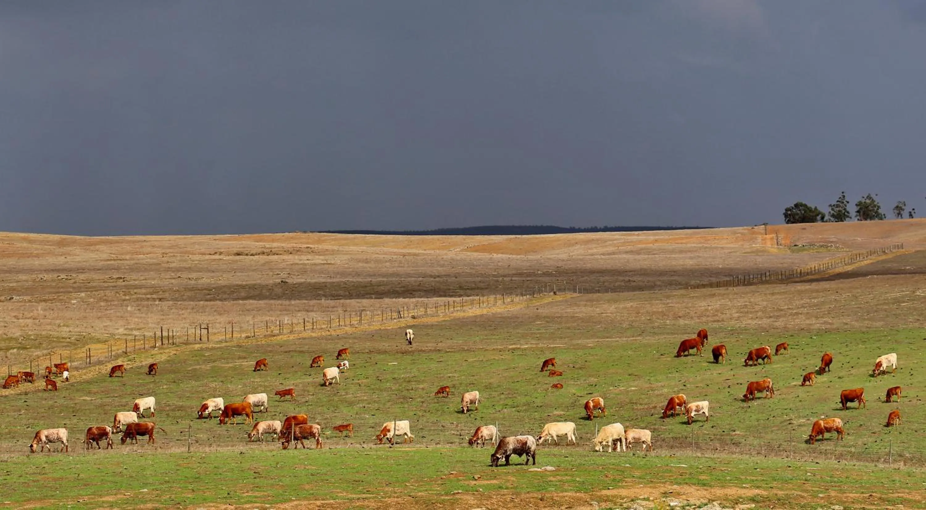 View (from property/room) in Casa dos Castelejos