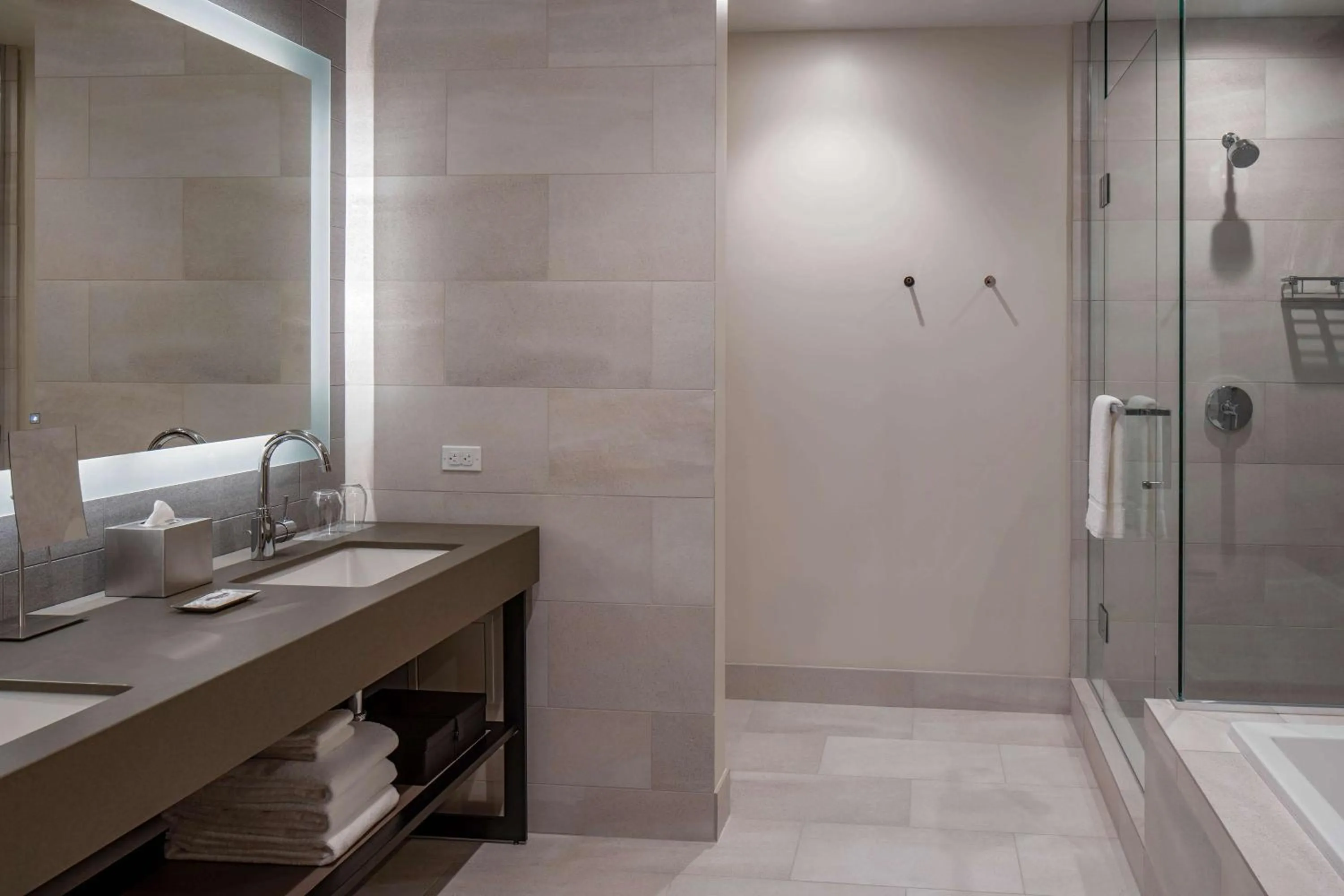 Bathroom in Hyatt Regency Seattle