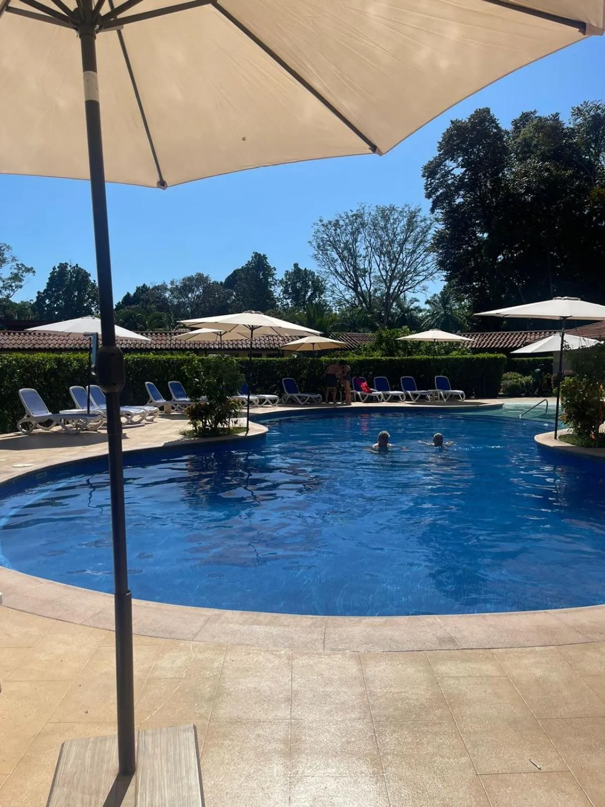 Day in La Foresta Nature Resort