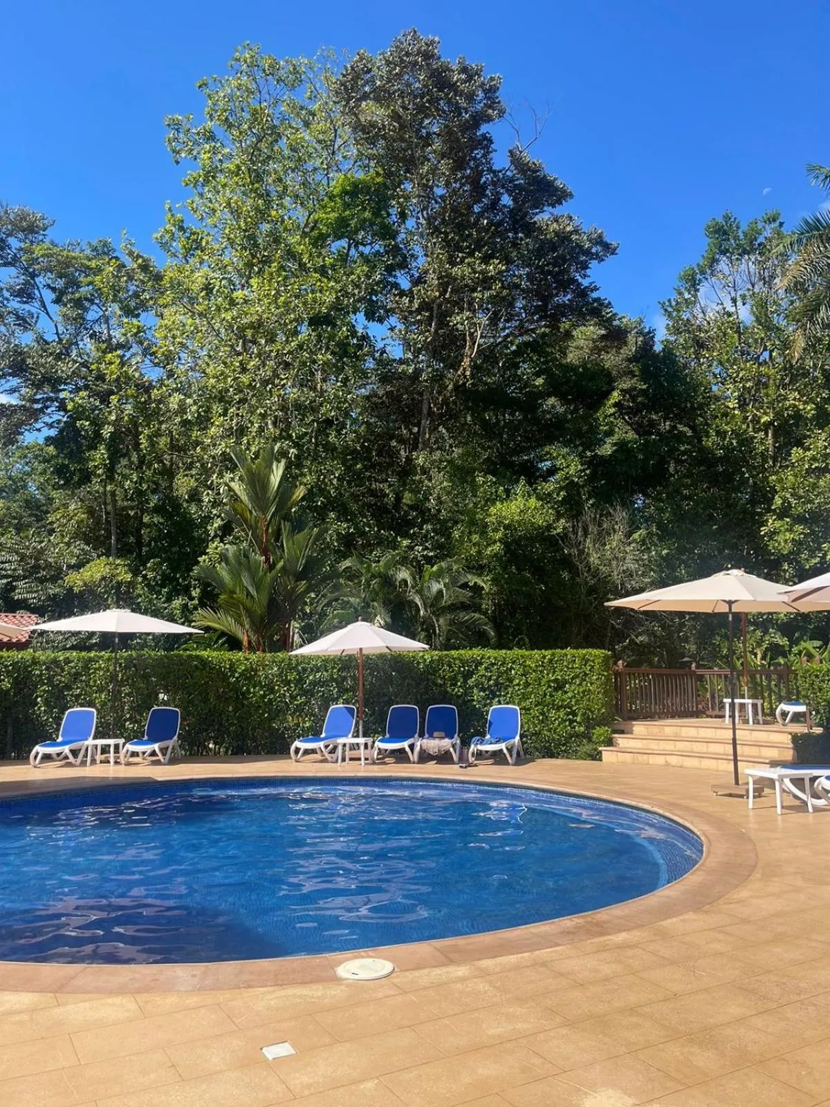 Swimming pool in La Foresta Nature Resort