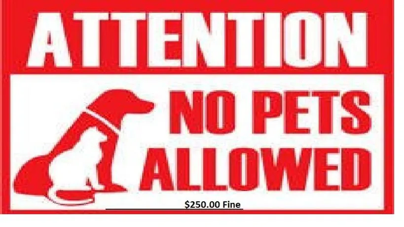 President Inn & Suites