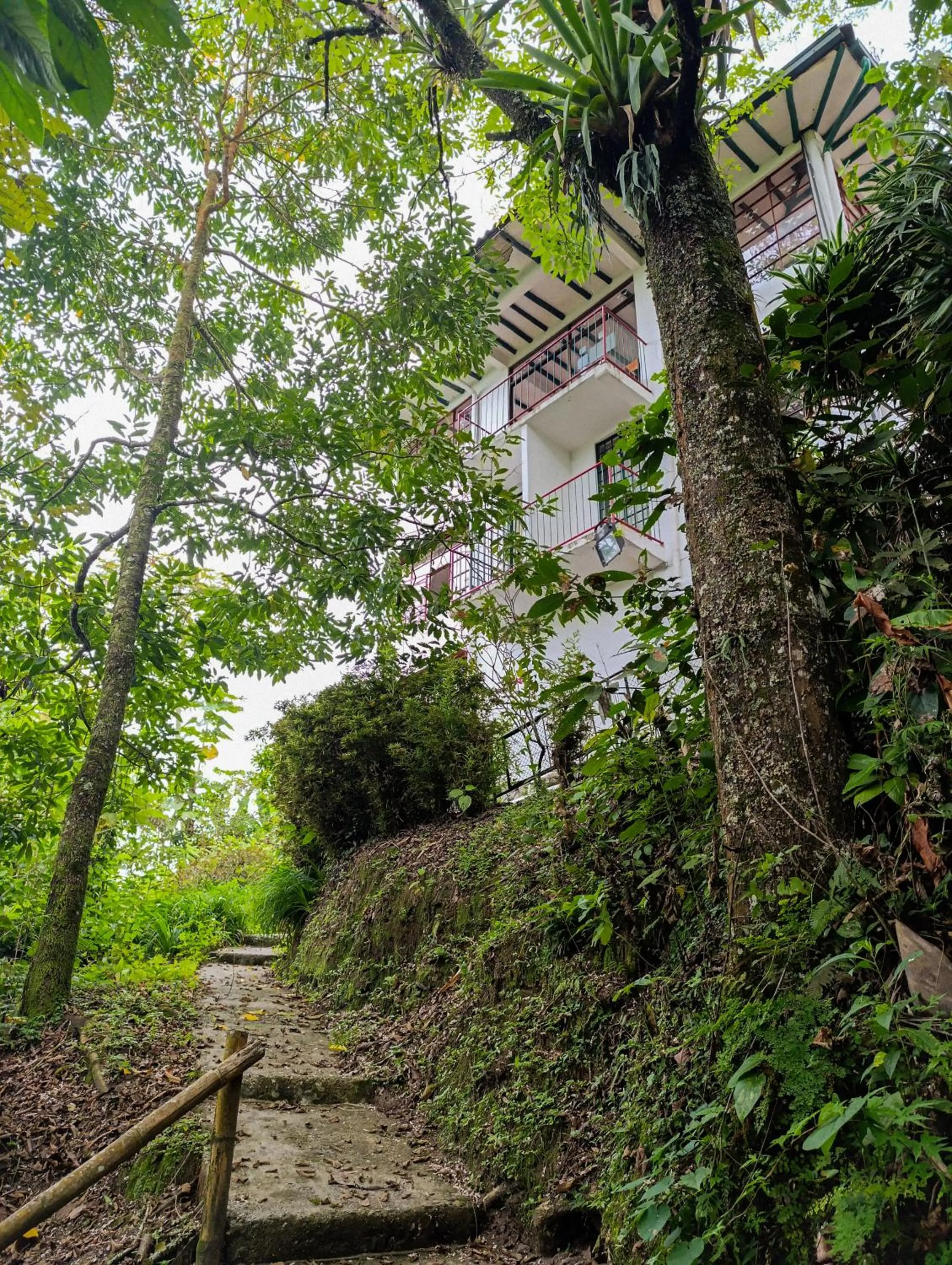 Property building in Eco Lodge La Juanita