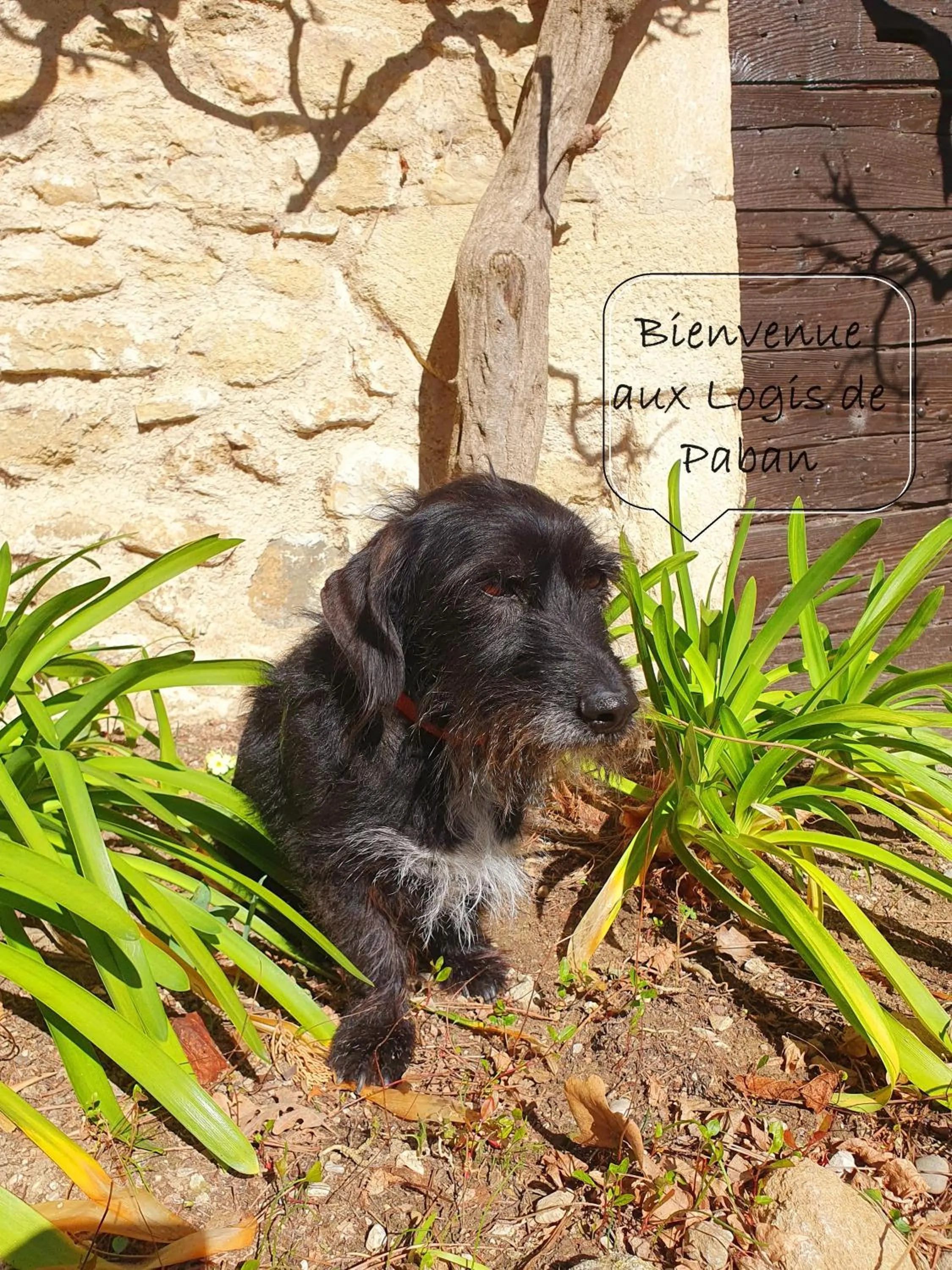 Property building in Les Logis de Paban