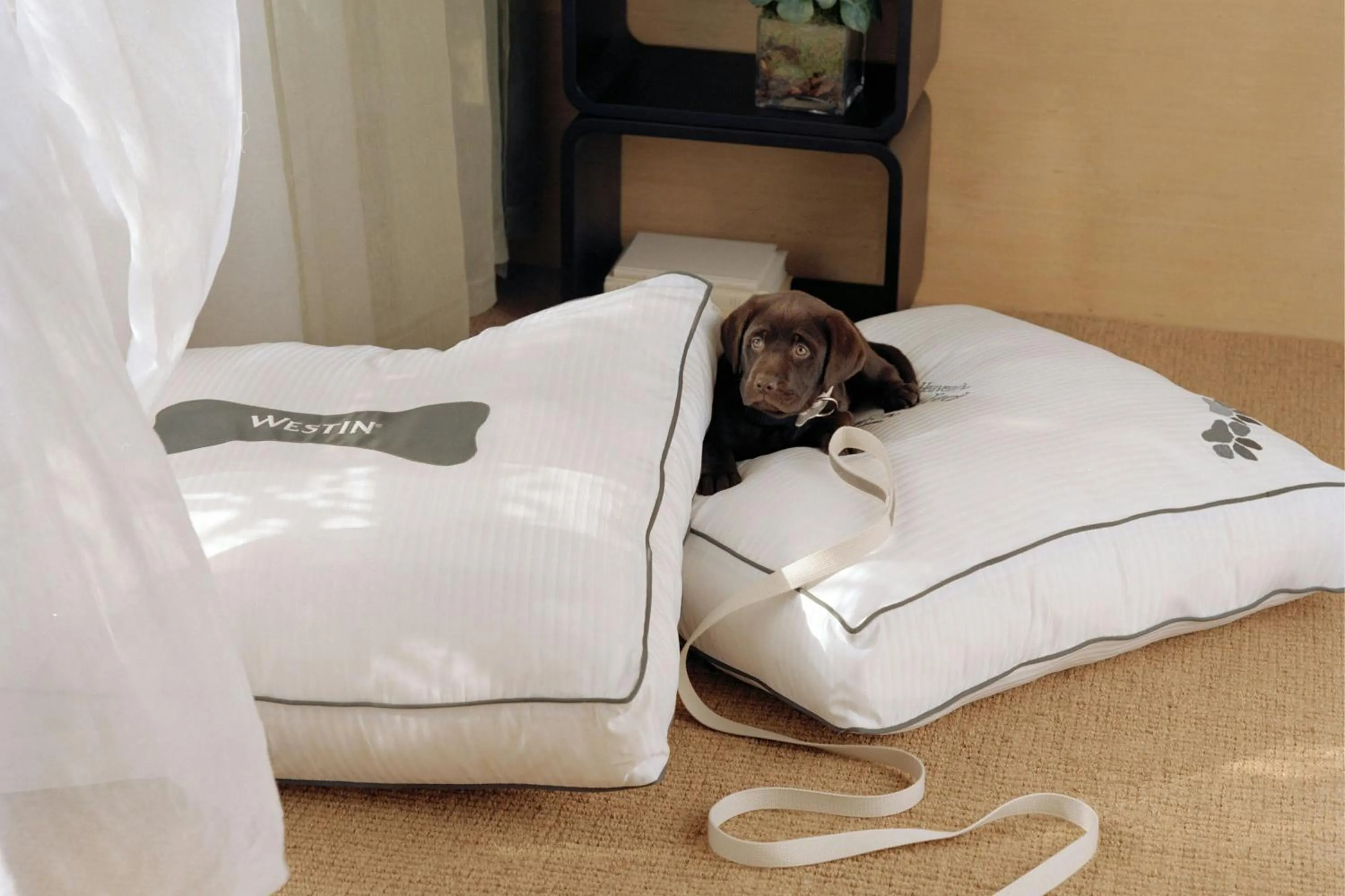 Other, Bed in The Westin Riverfront Resort & Spa, Avon, Vail Valley