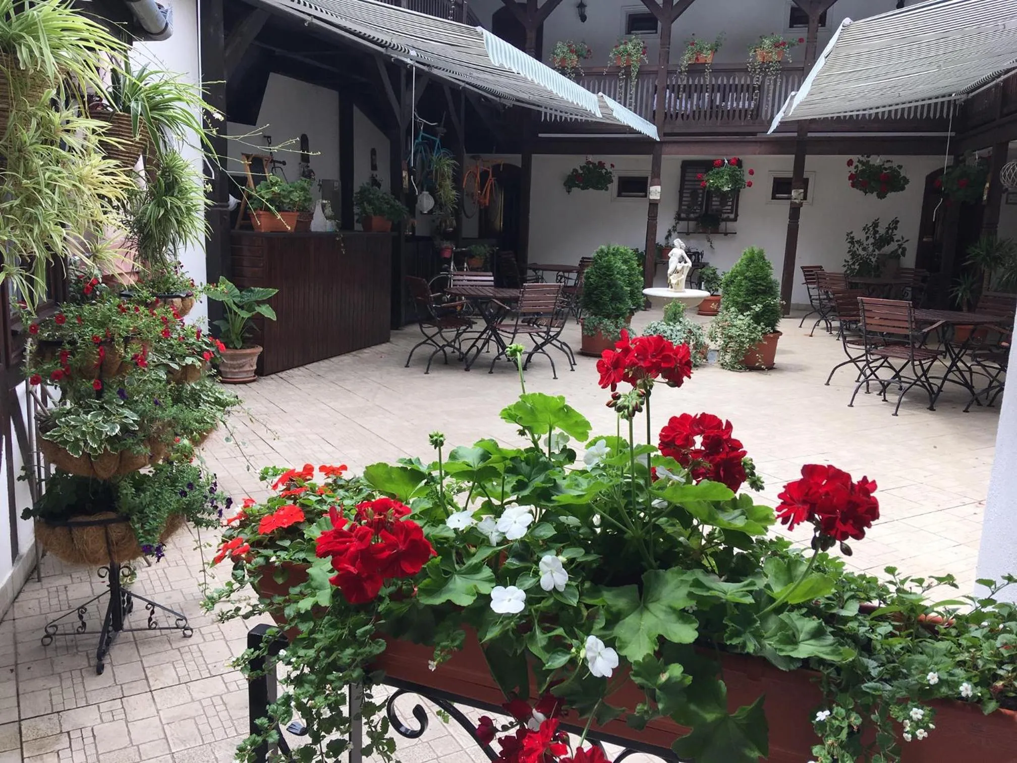 Restaurant/places to eat in Hotel Casa Wagner