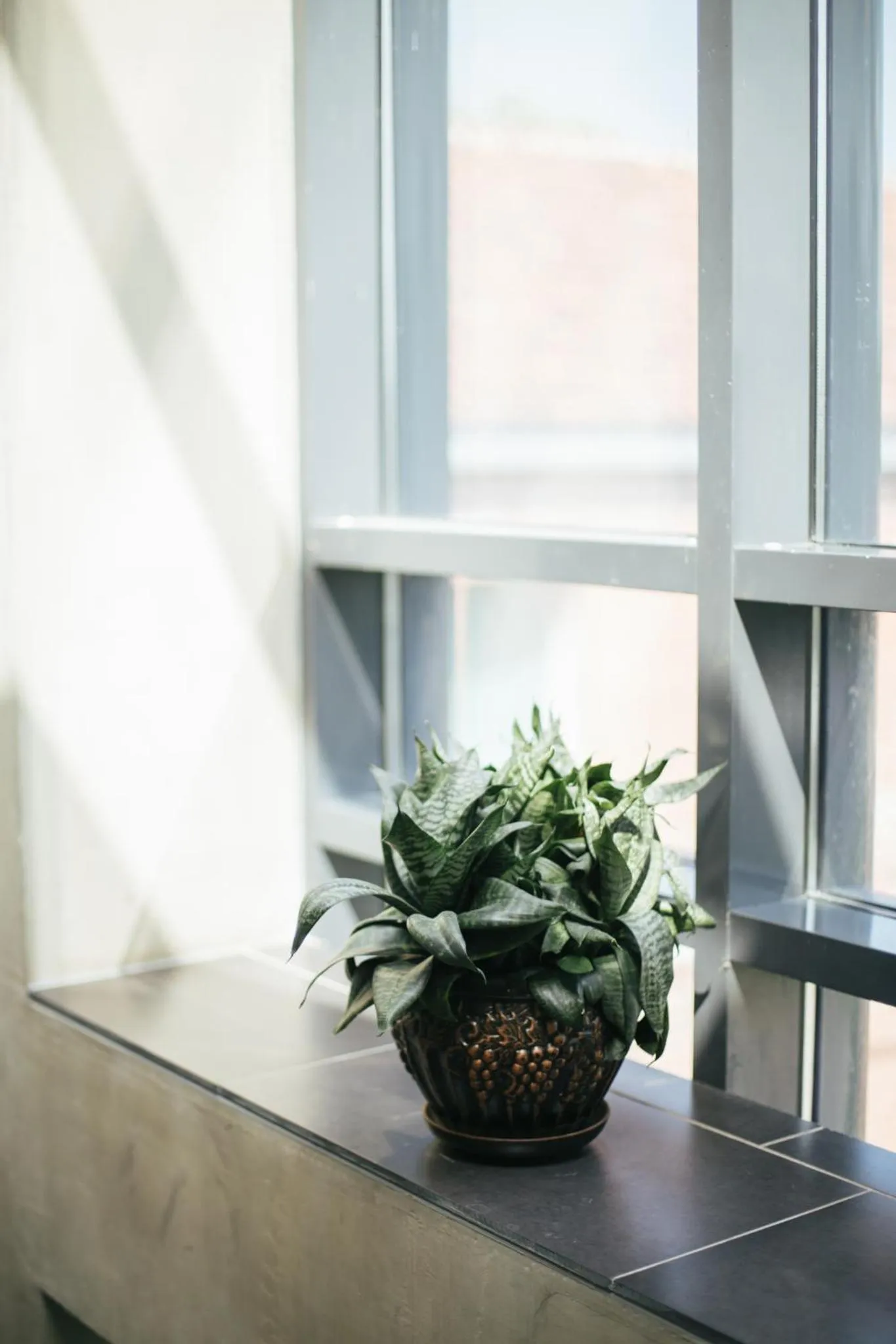 Decorative detail in Kuldigas Metropole