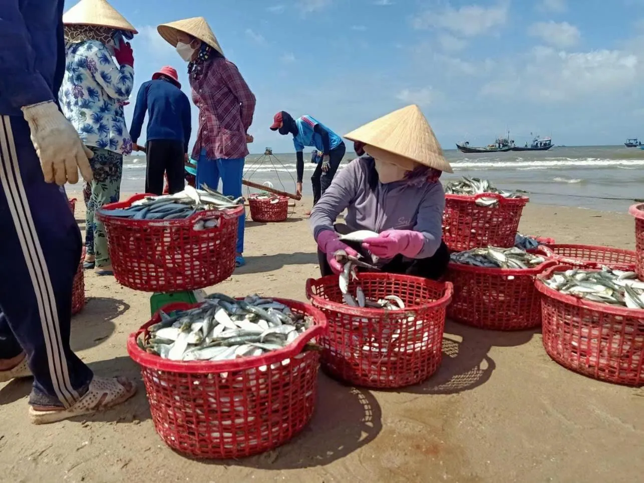 Beach in Gold Stars Hotel