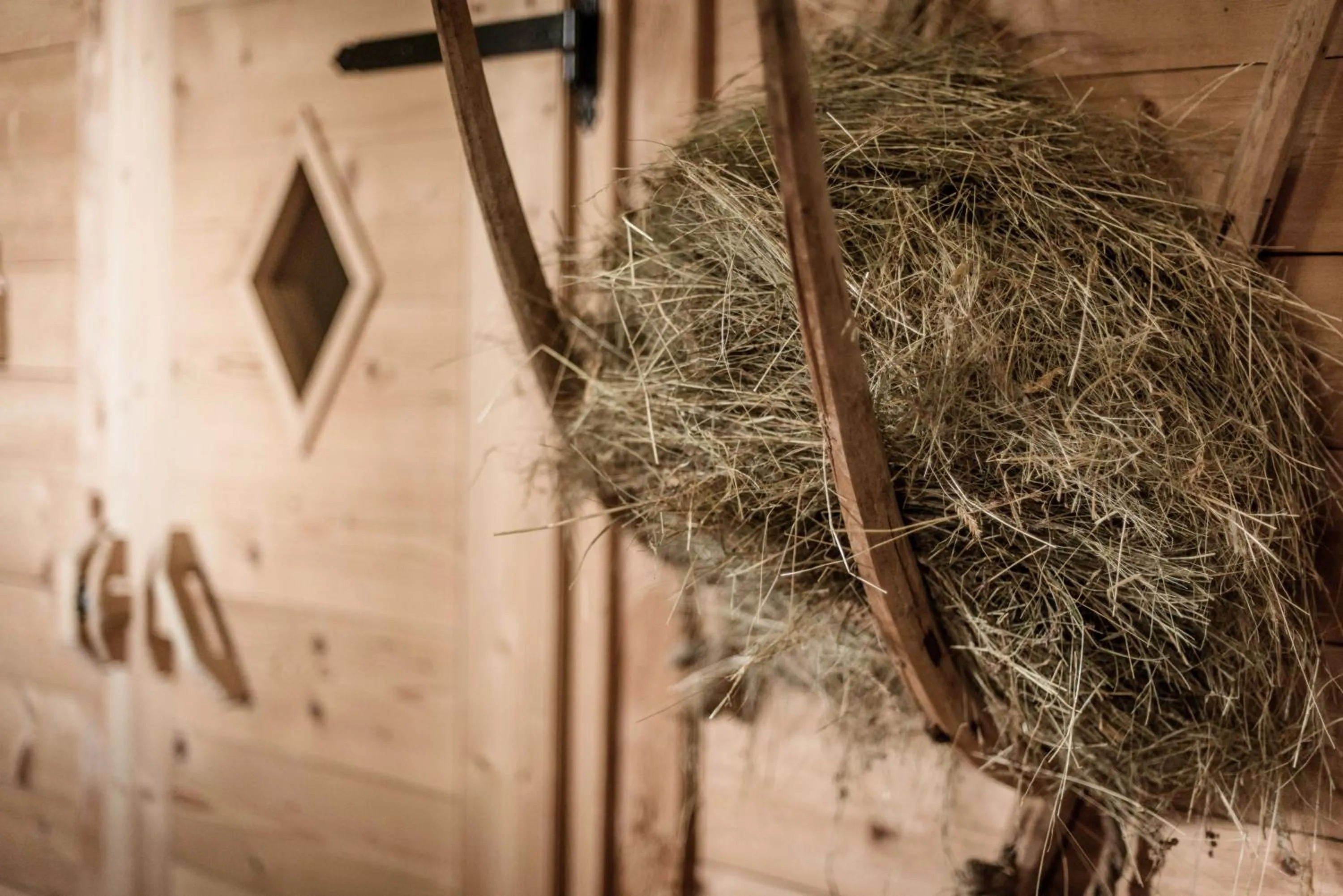 Spa and wellness centre/facilities in Appartement- und Wellnesshotel Winkler