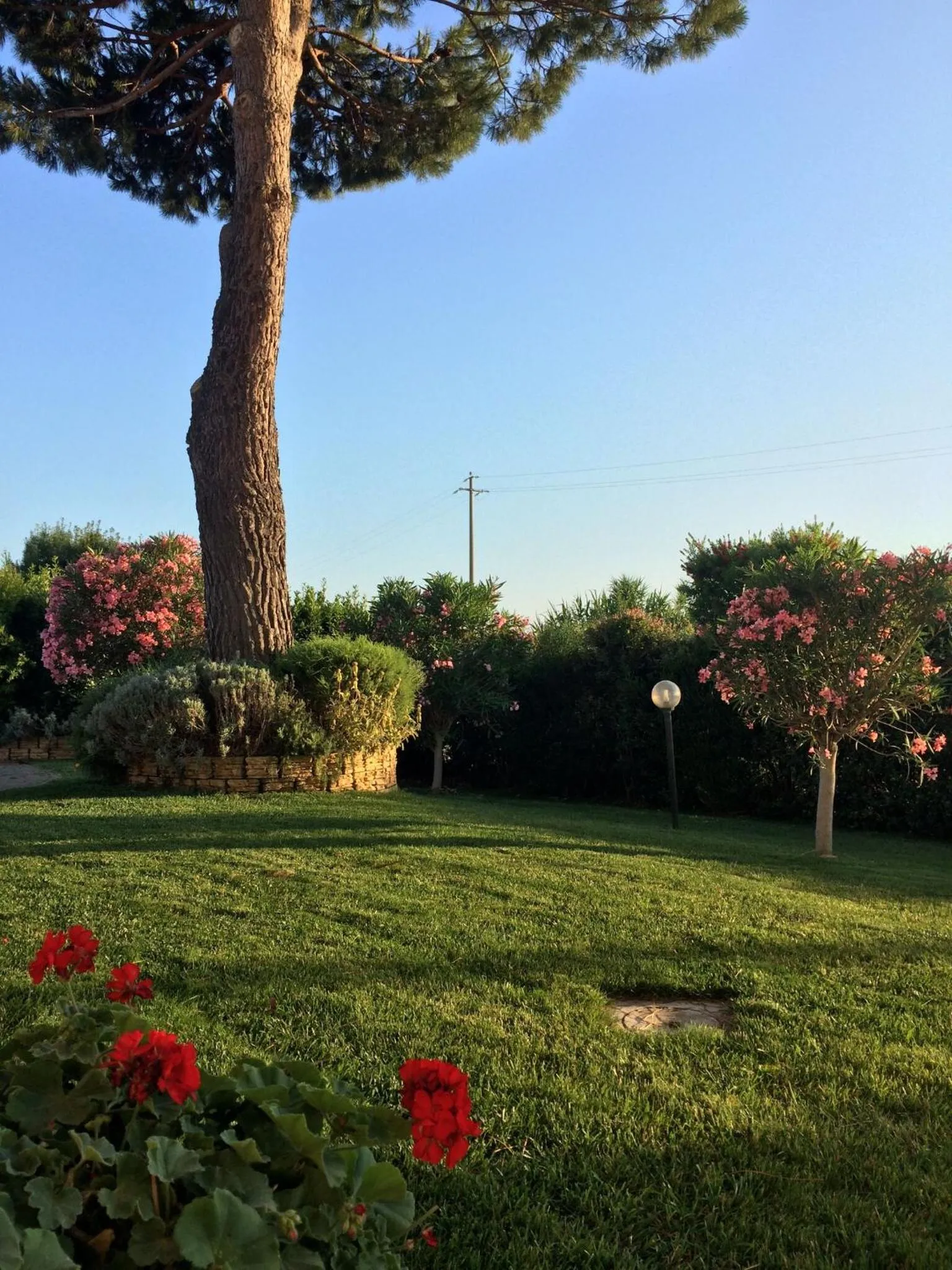 Garden in Agriturismo - B&B L'Acquacotta