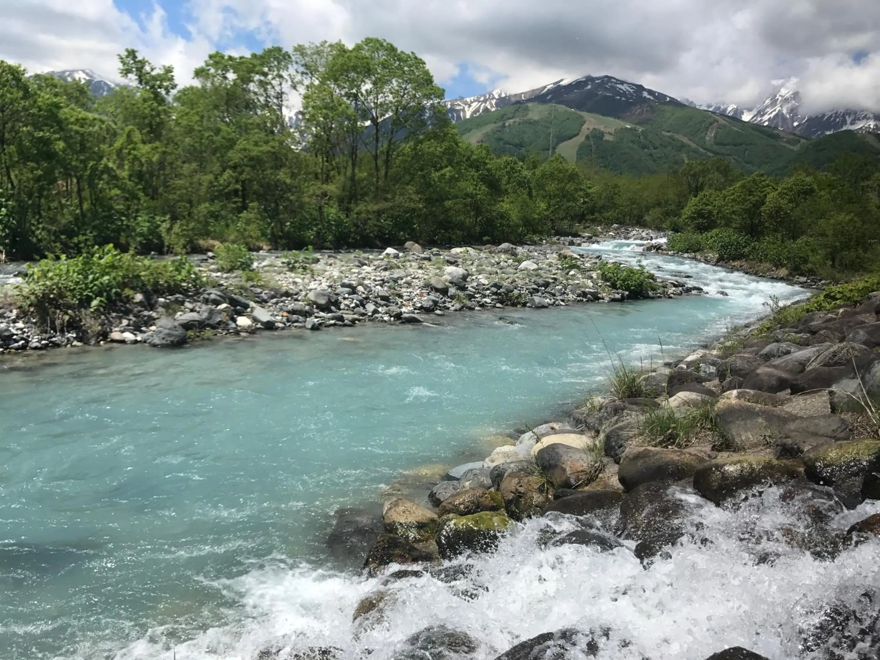 Natural landscape in Shakespeare Hotel