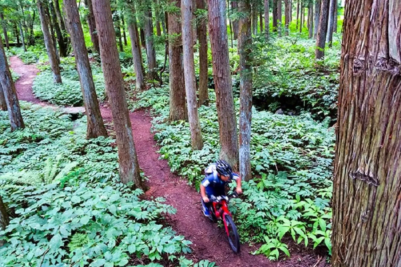 Cycling in Shakespeare Hotel