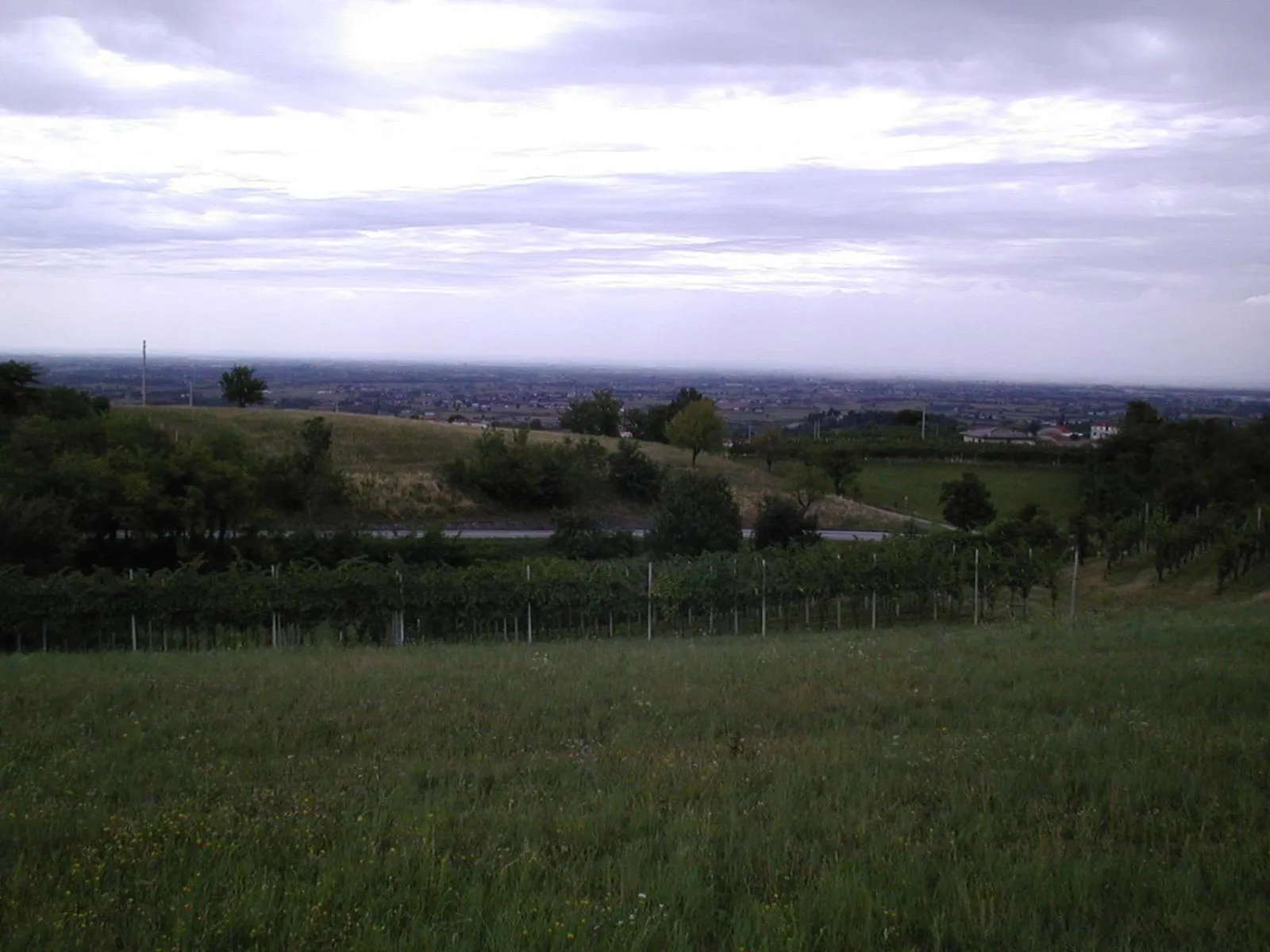 Hotel Ristorante Pedrocchi