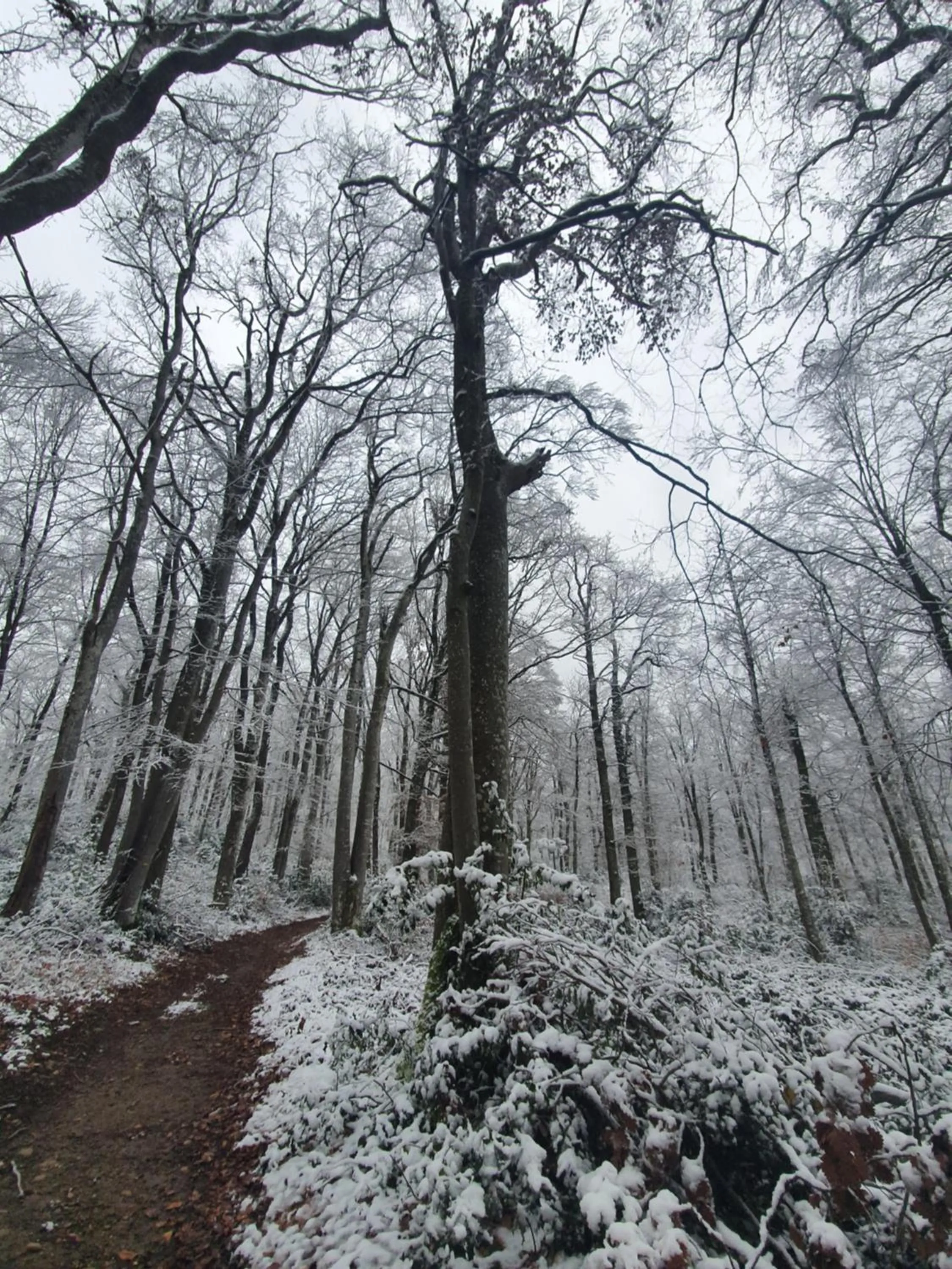 Natural landscape in Chateau de Bonnevaux