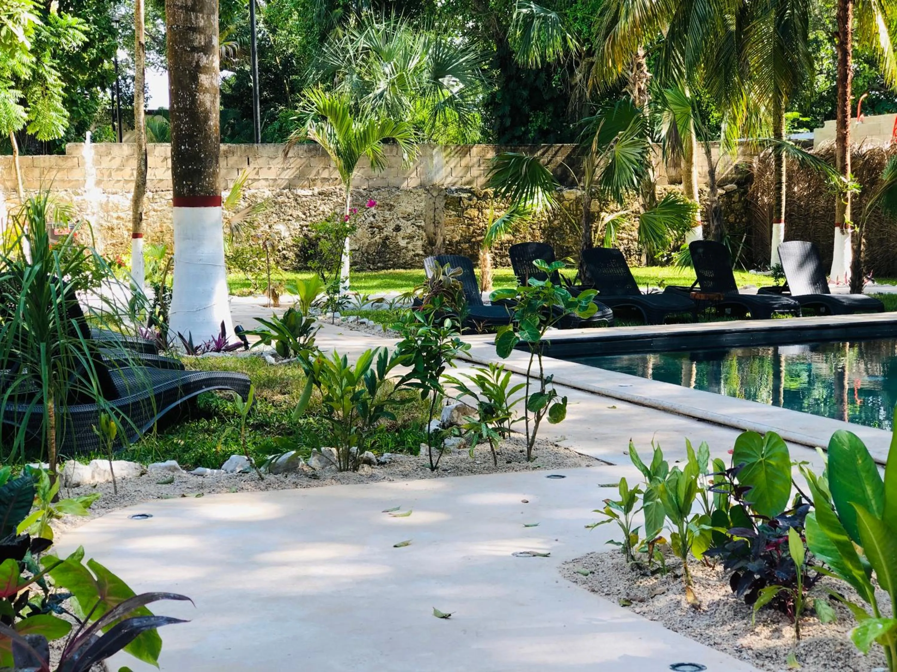 Garden in Tierra Maya Hotel Spa & Sanctuary