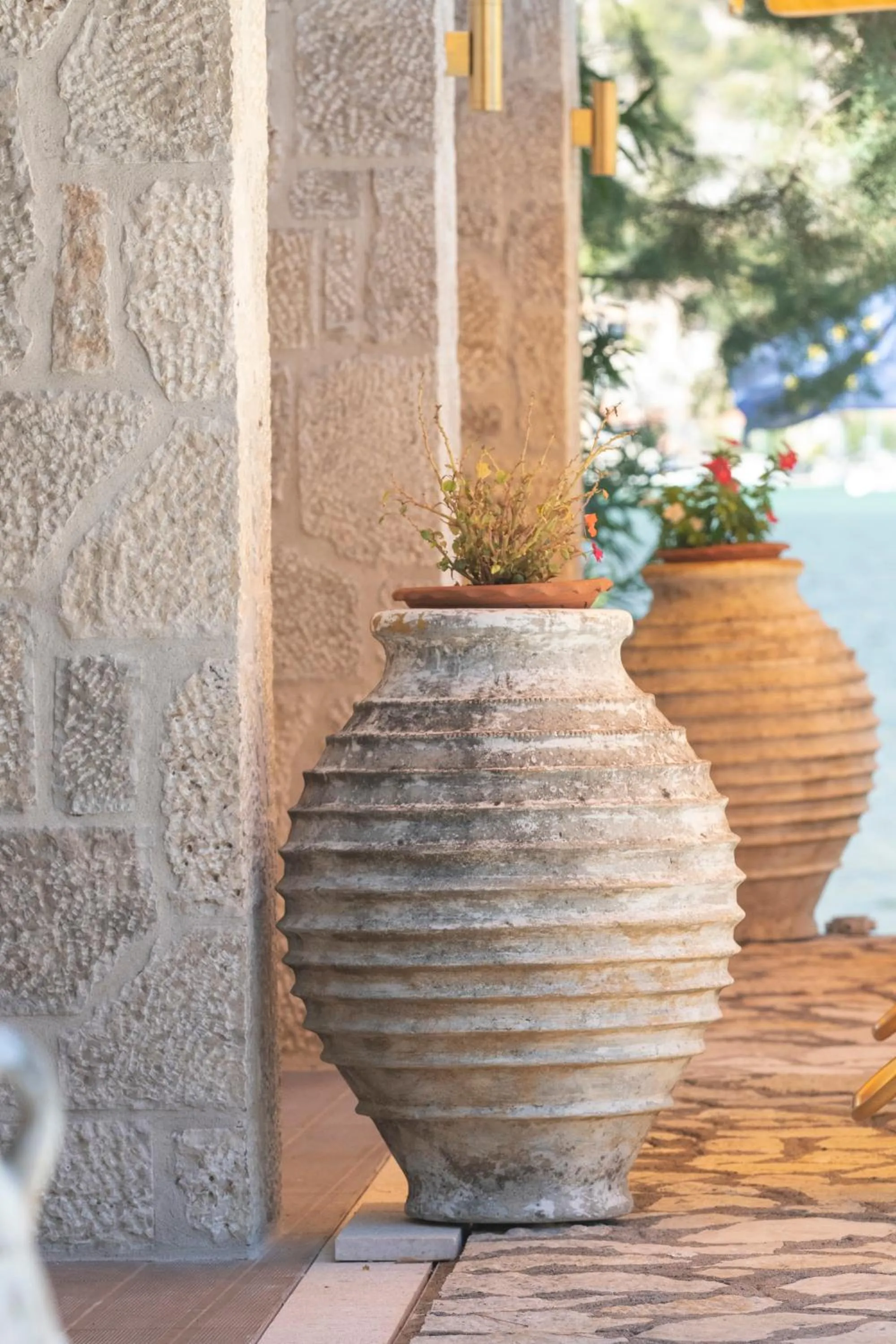 Garden in Cleopatra Beach