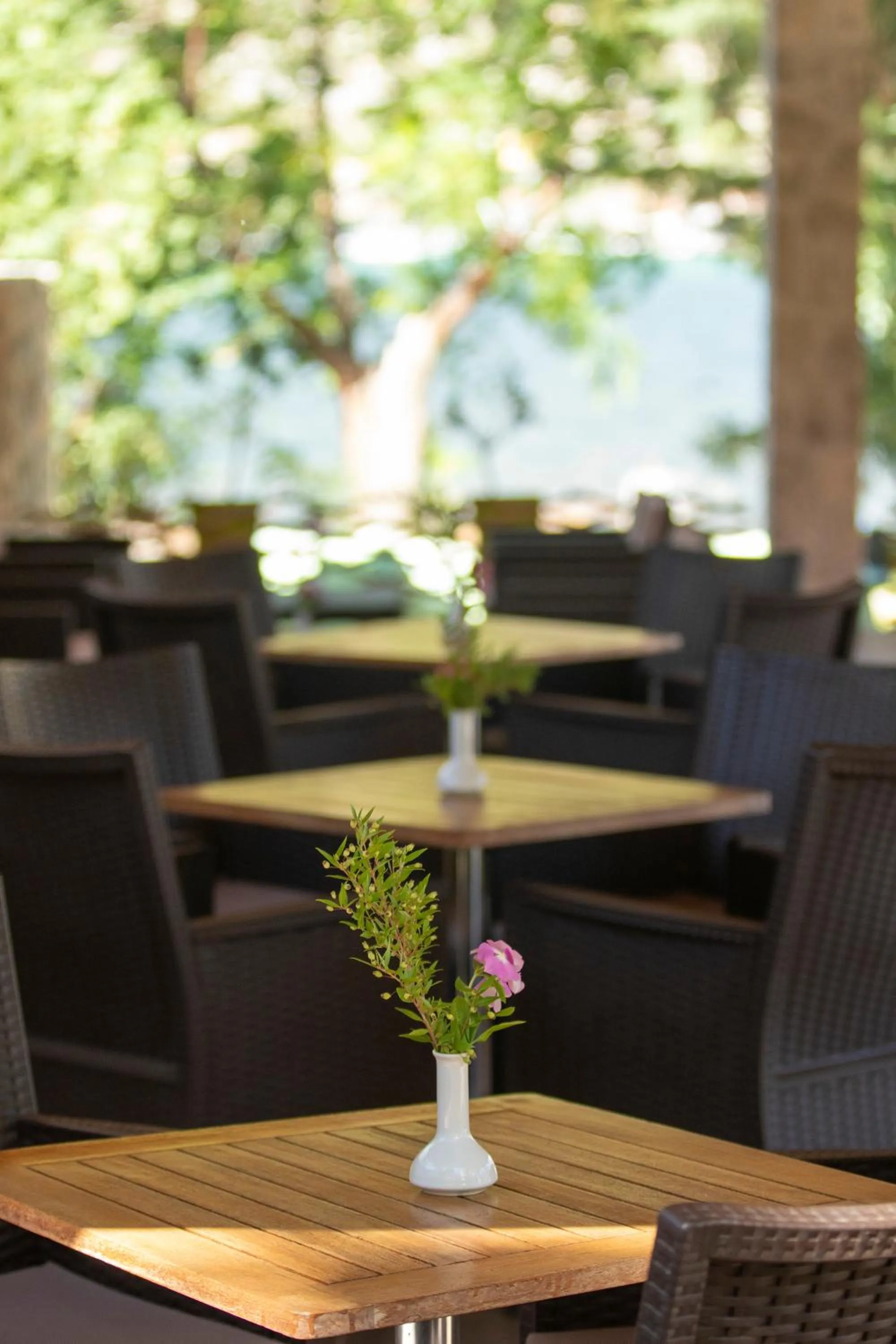 Balcony/Terrace in Cleopatra Beach