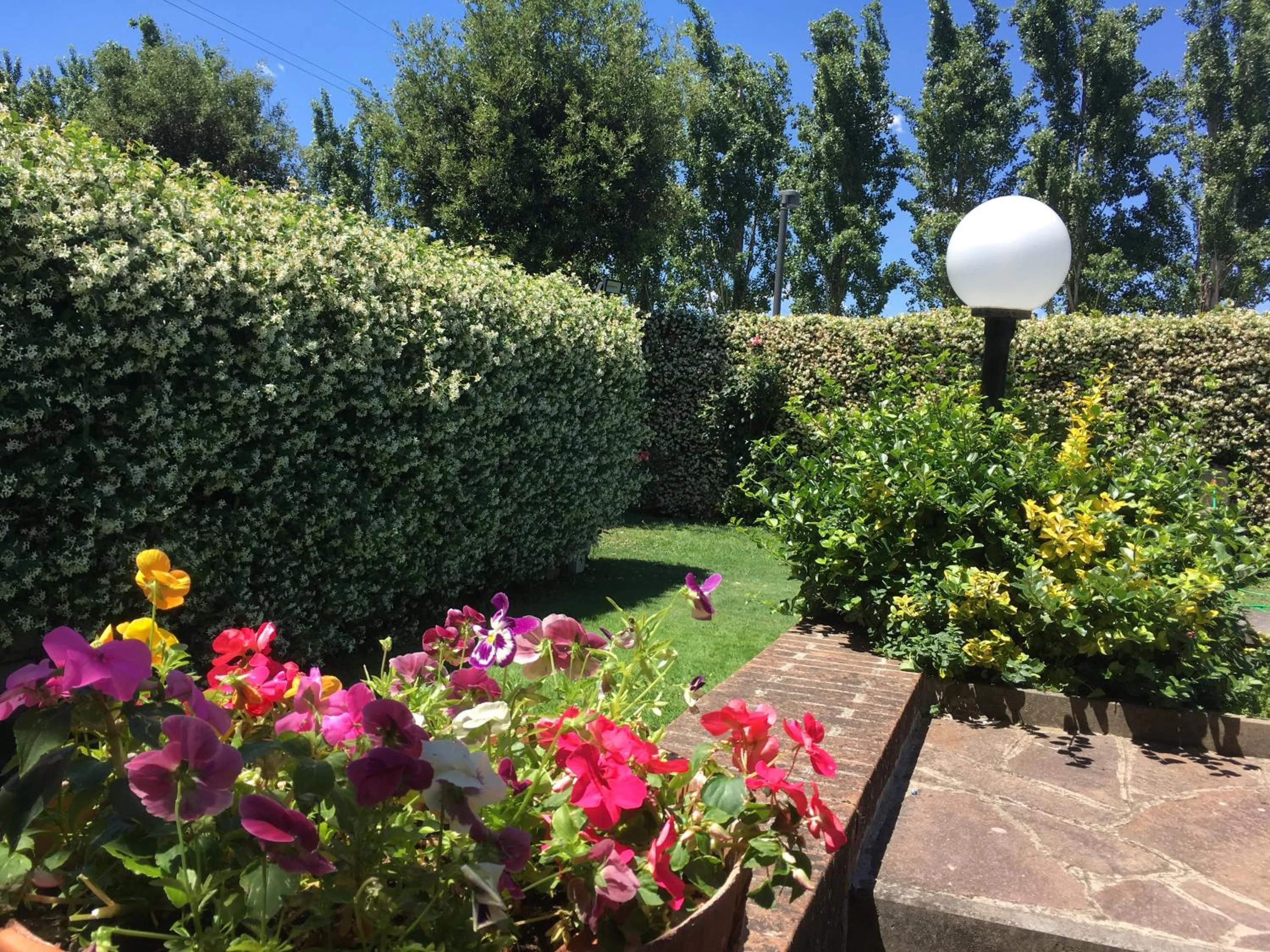 Garden view in Inn Rome B&B