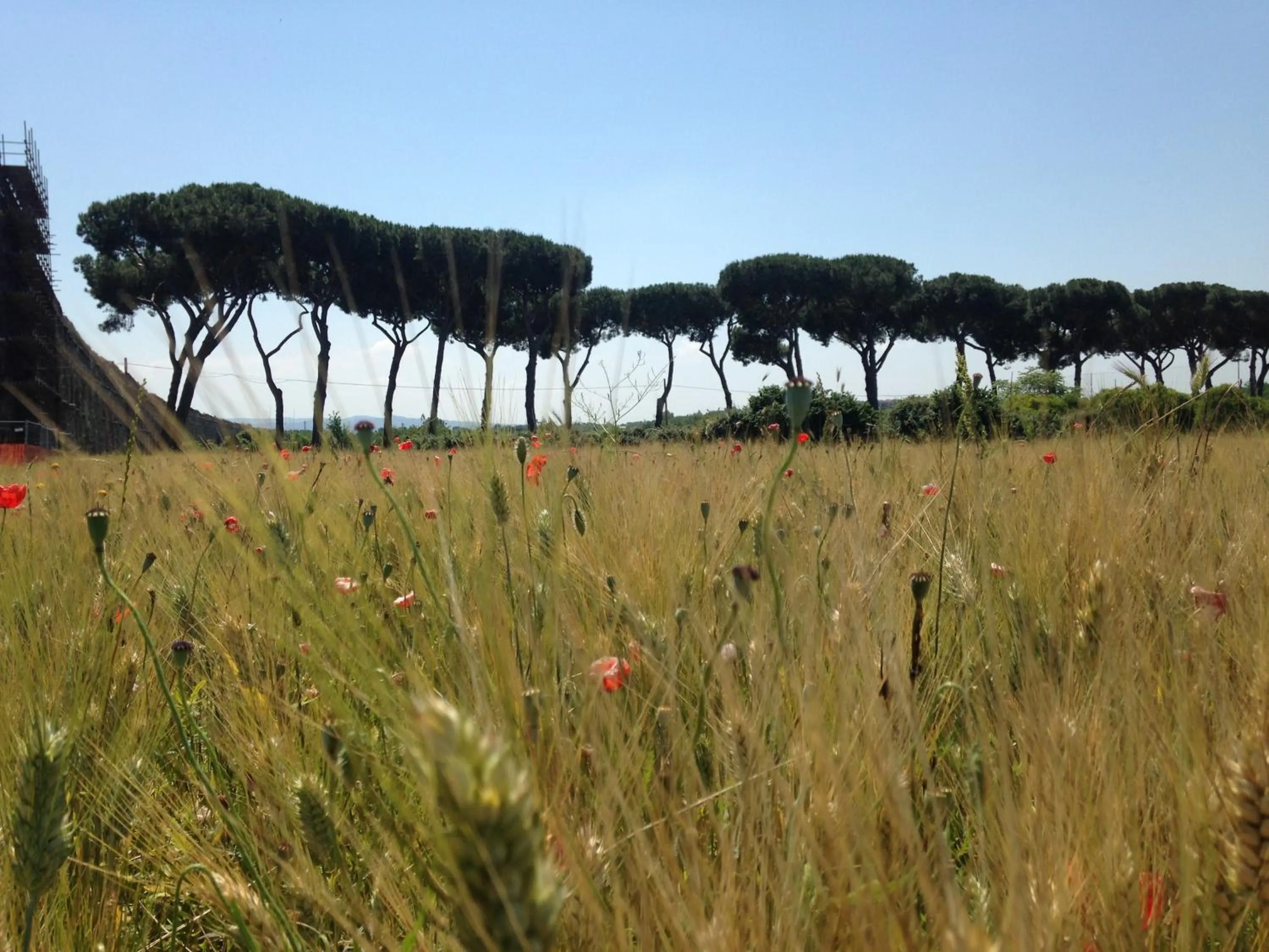 Nearby landmark in Inn Rome B&B