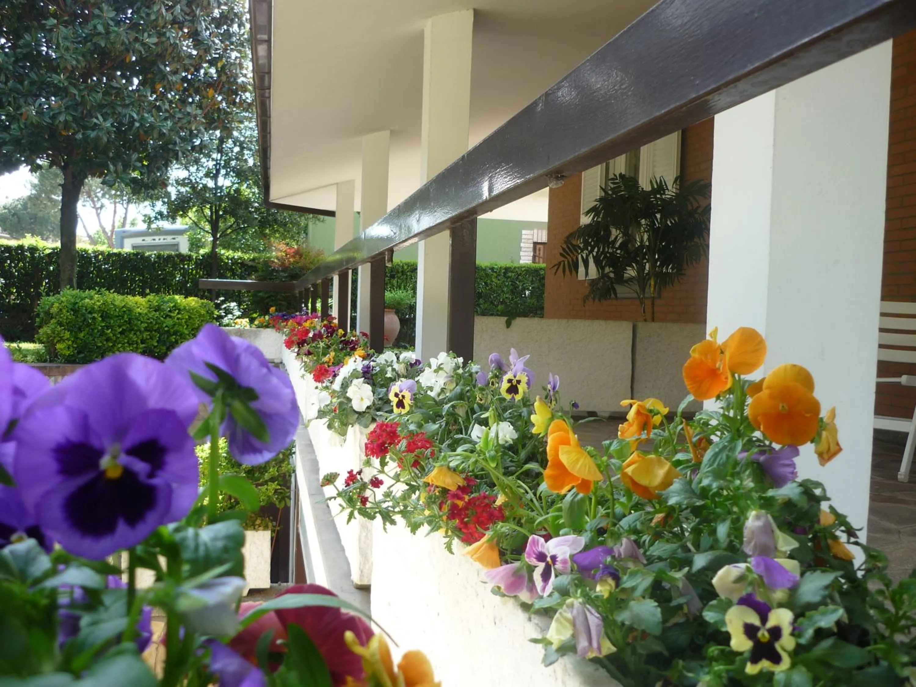 Garden in Inn Rome B&B