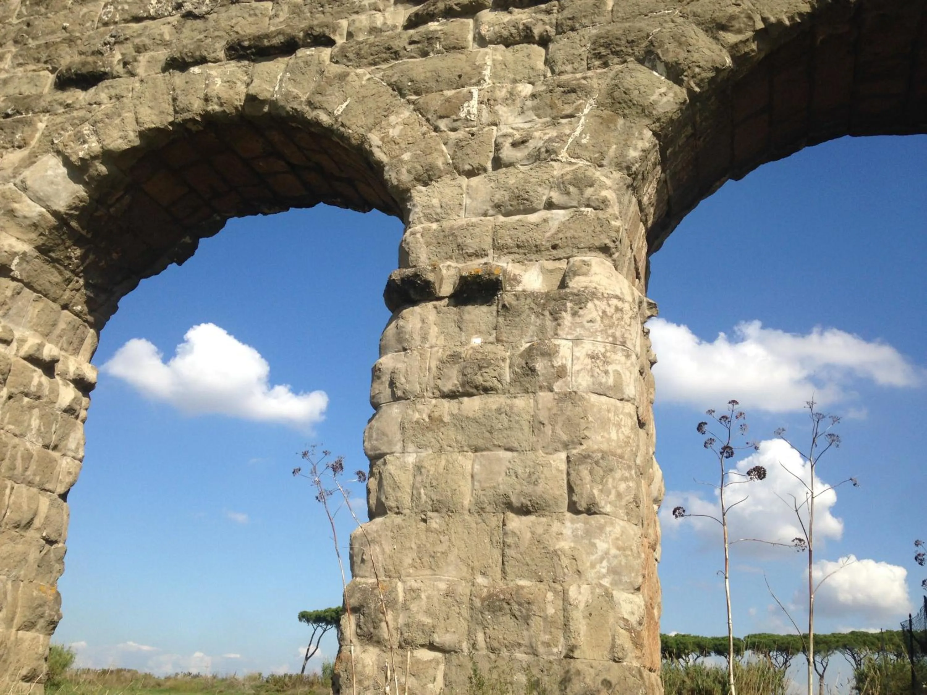 Natural landscape in Inn Rome B&B