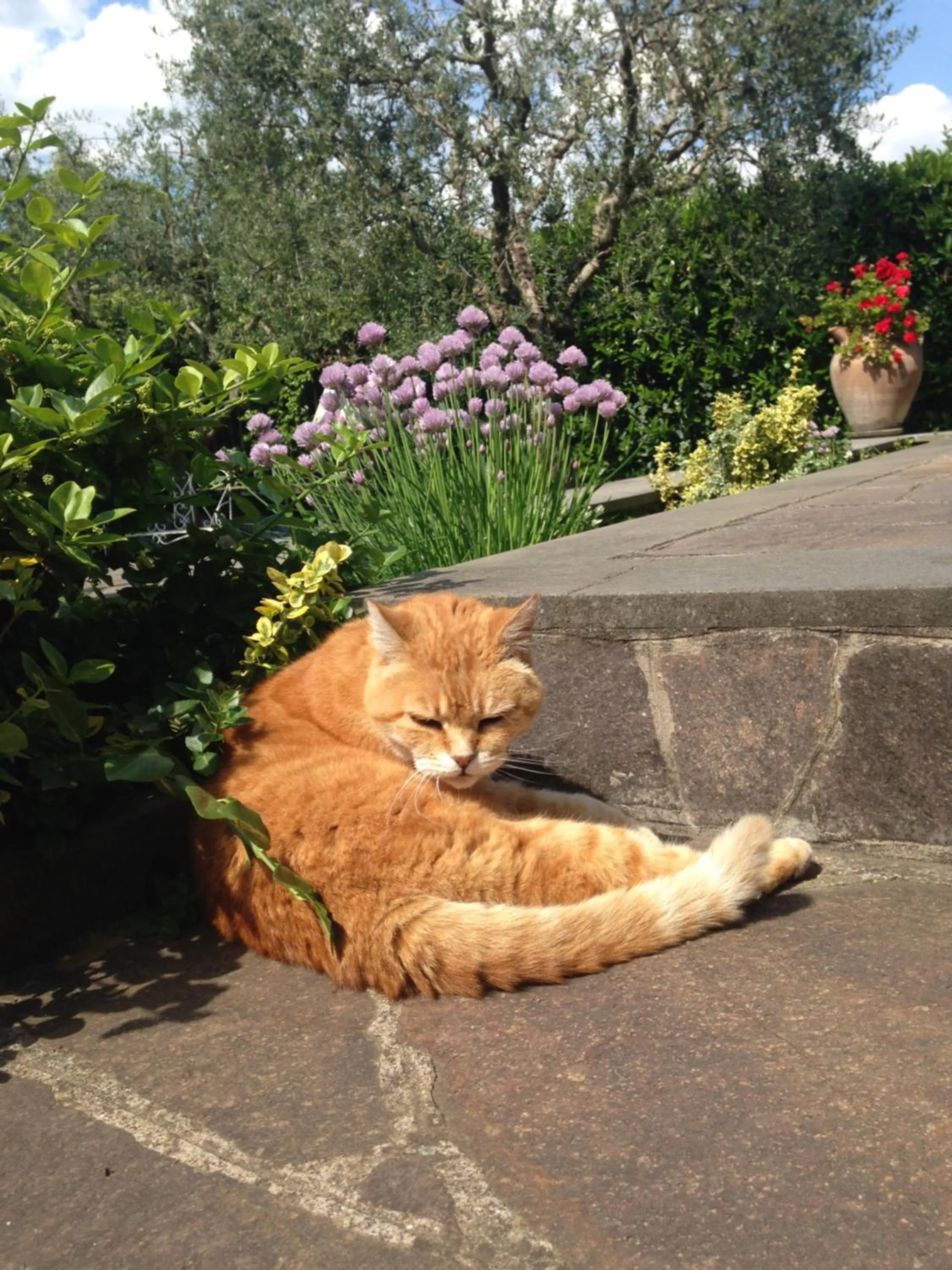 Decorative detail in Inn Rome B&B