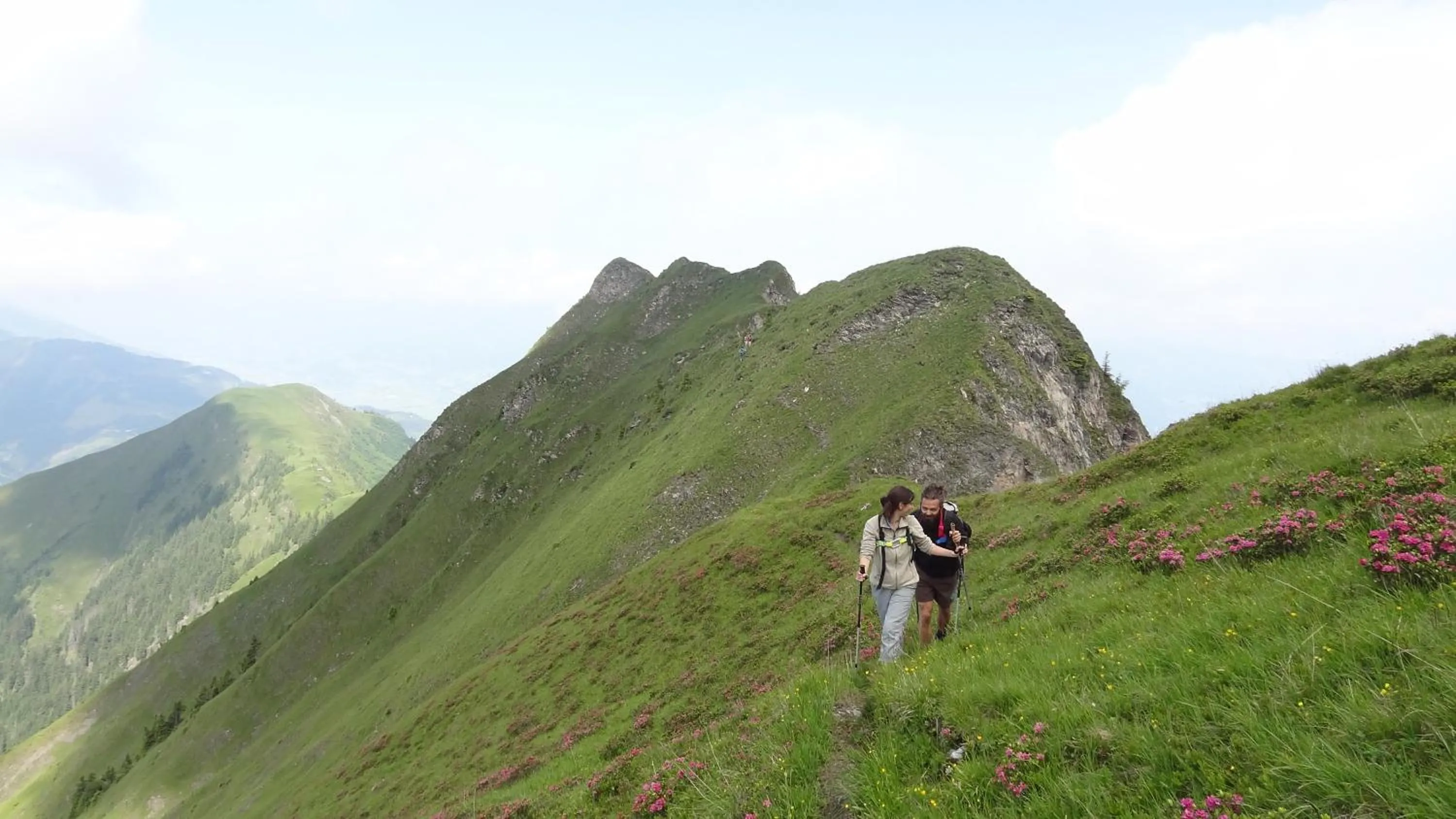 Natural landscape in Landhaus Gassner