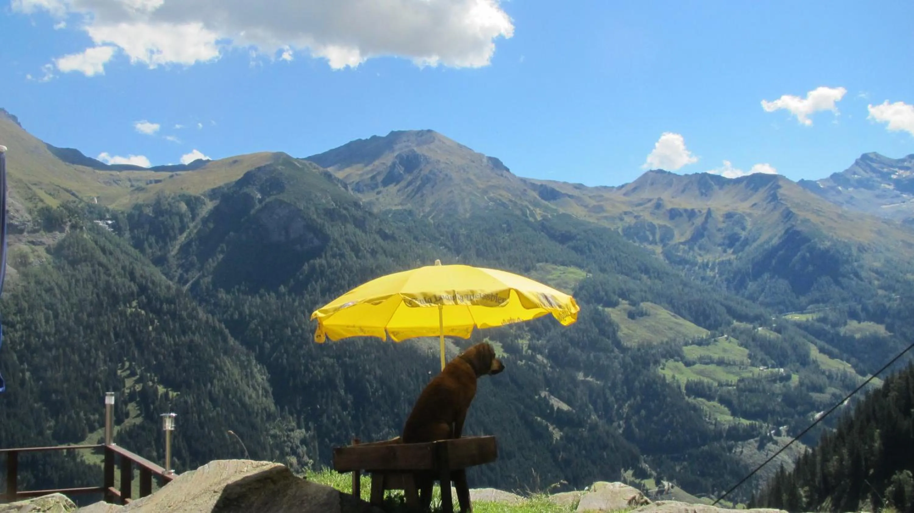 Natural landscape in Landhaus Gassner
