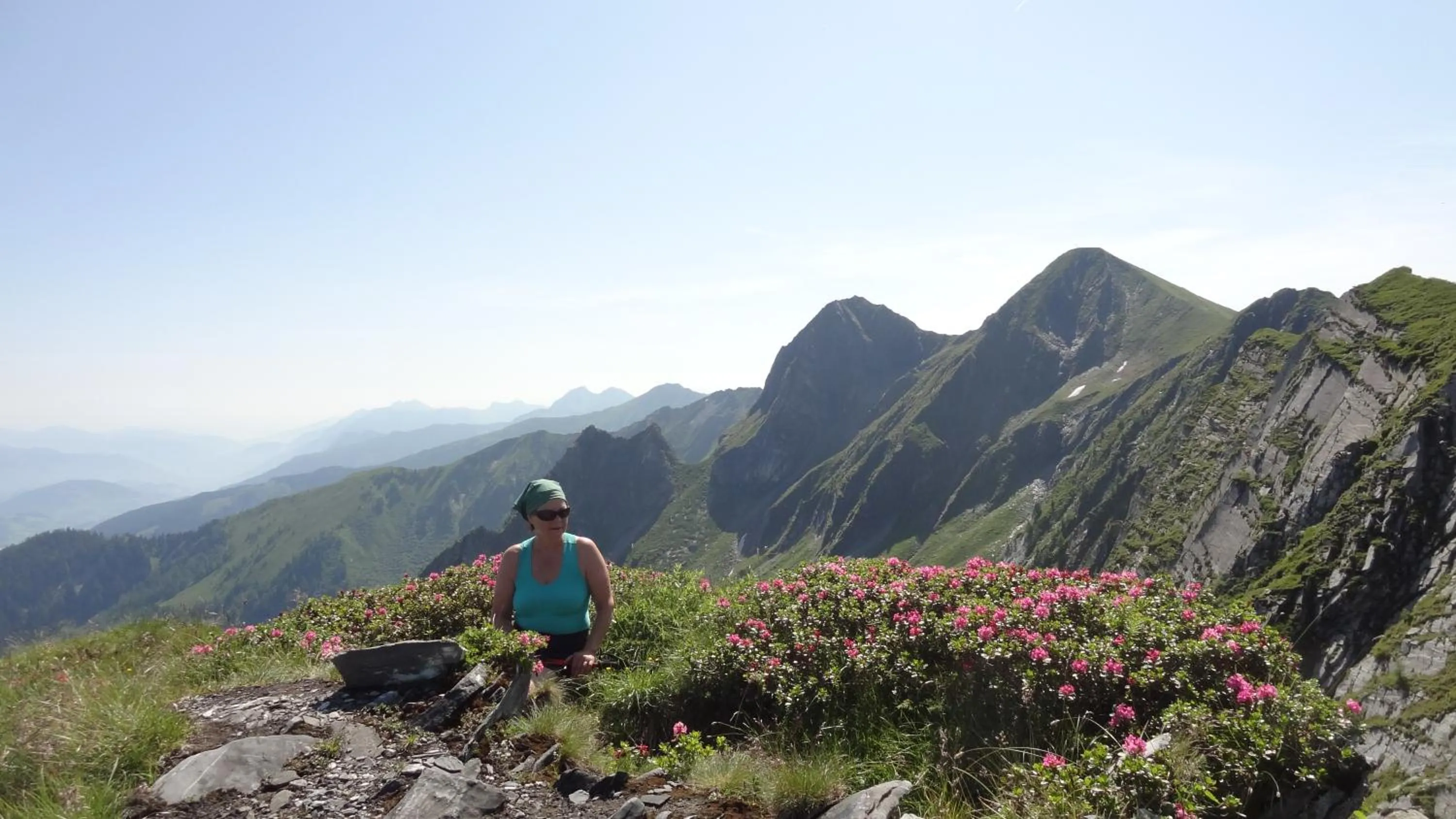 Hiking in Landhaus Gassner
