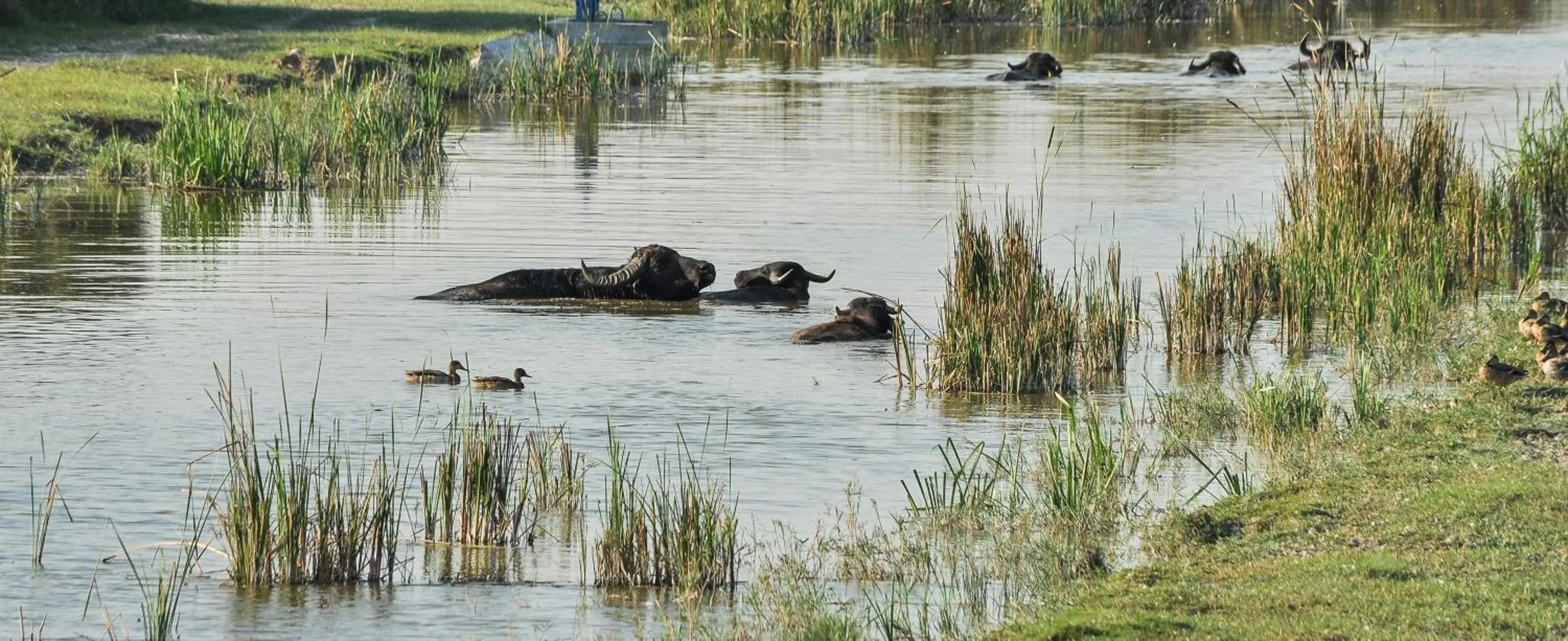 Natural landscape in HOMOKI LODGE Bed & Beyond Glamping Adult Only