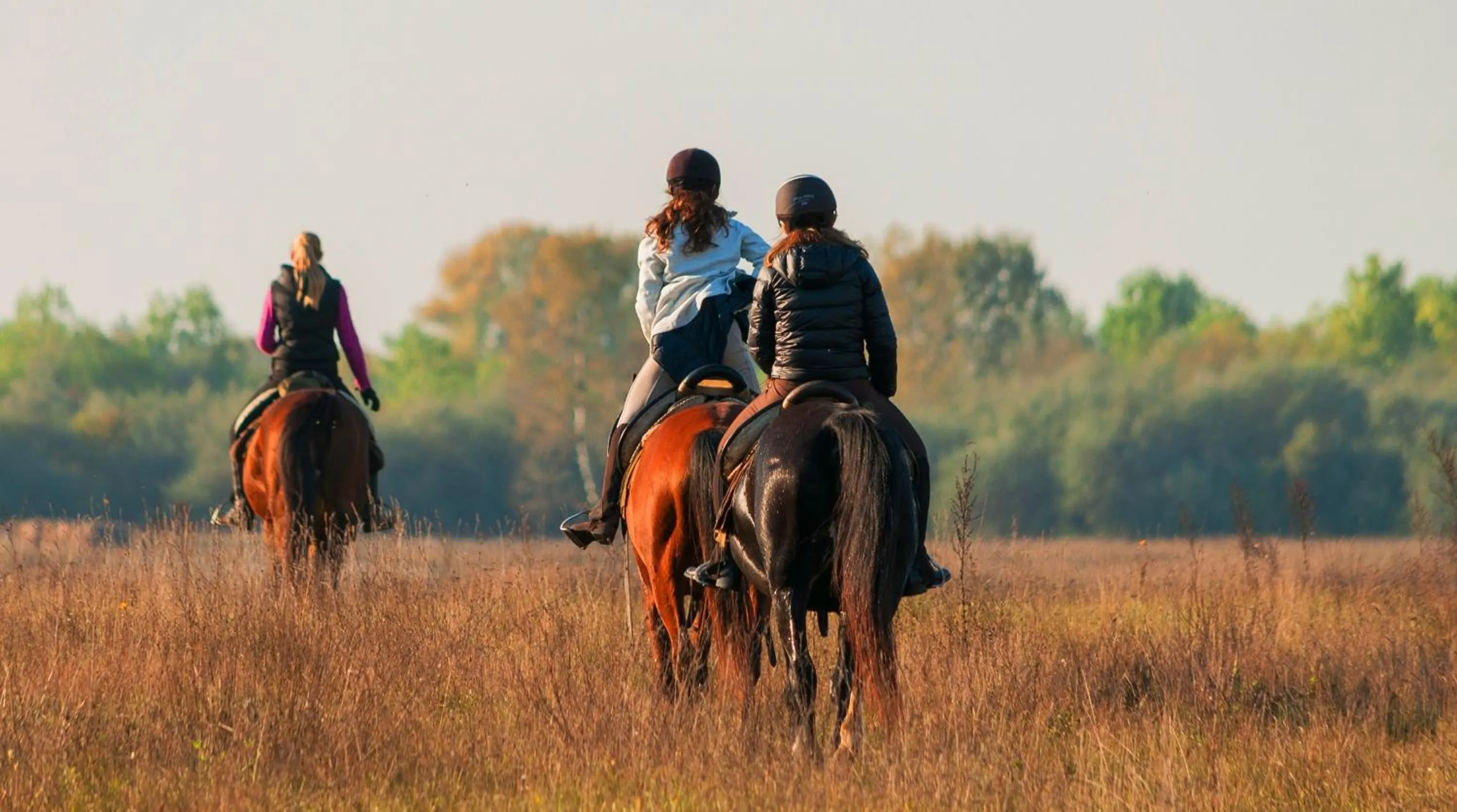 Horse-riding in HOMOKI LODGE Bed & Beyond Glamping Adult Only