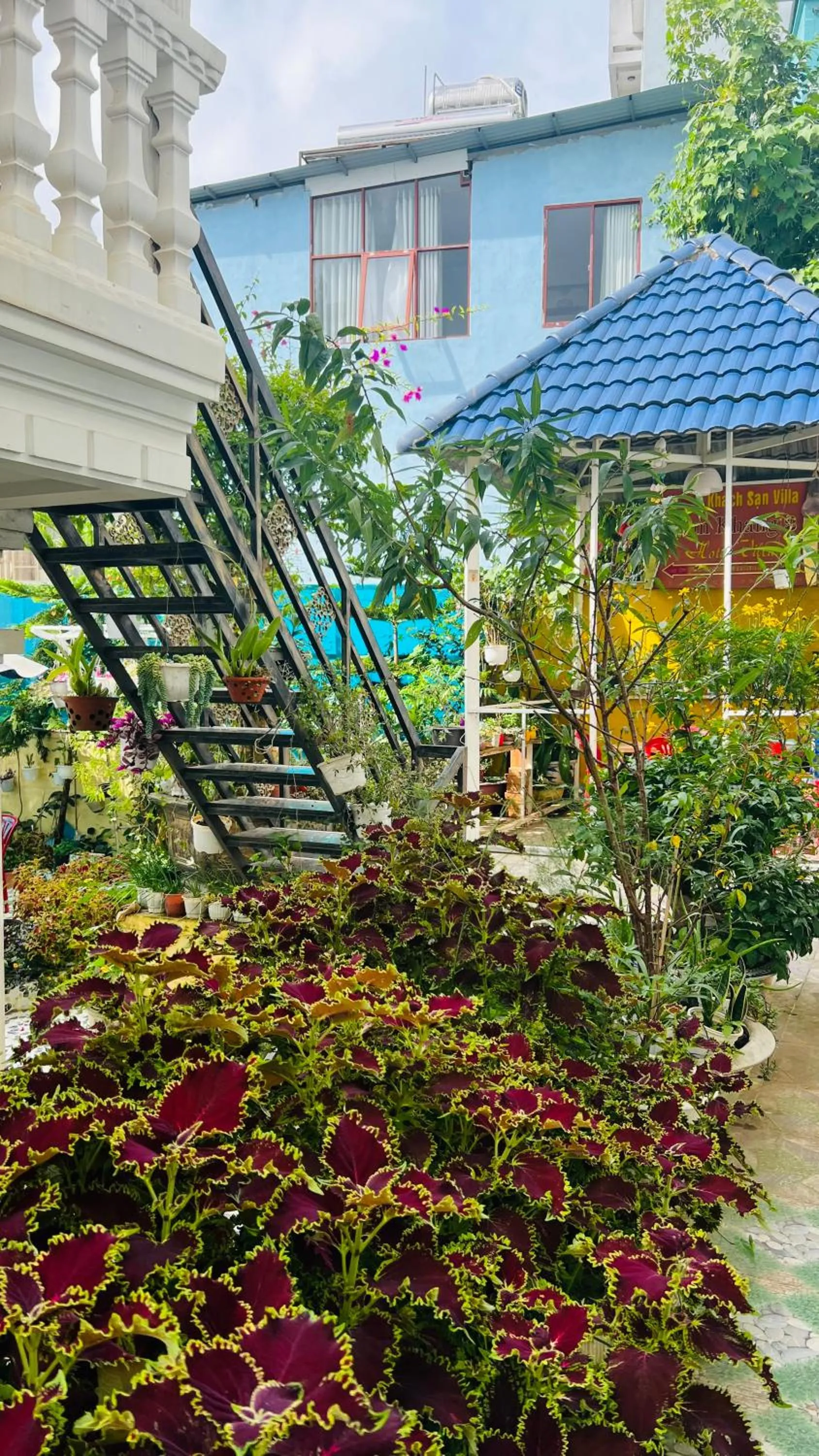 Garden view in Villa - Hotel Nam Khang 2 Dalat