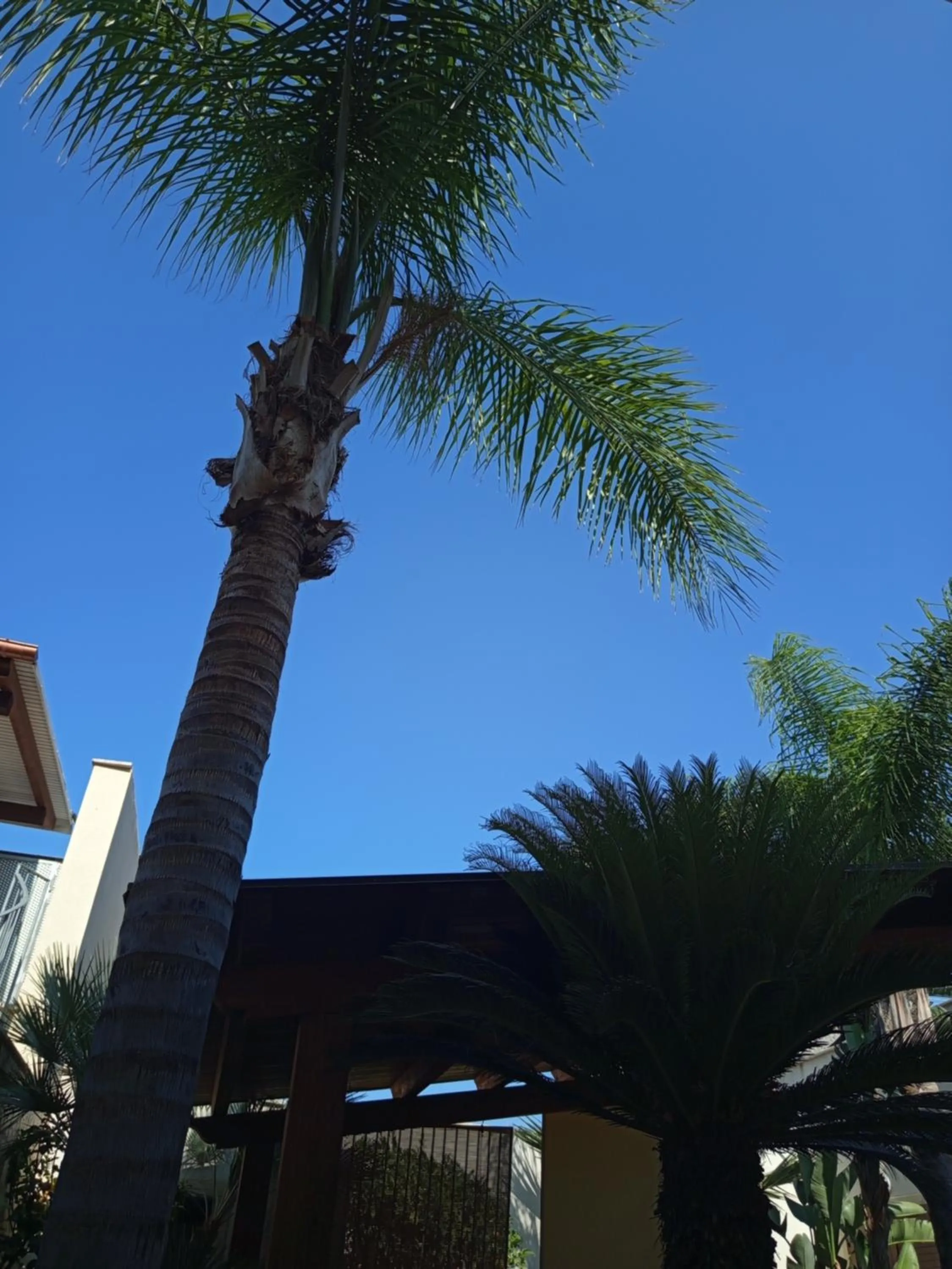 Day in Amaryllis Hotel