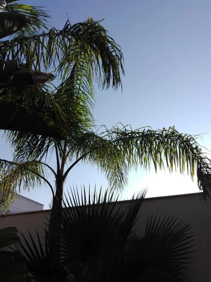 Day in Amaryllis Hotel