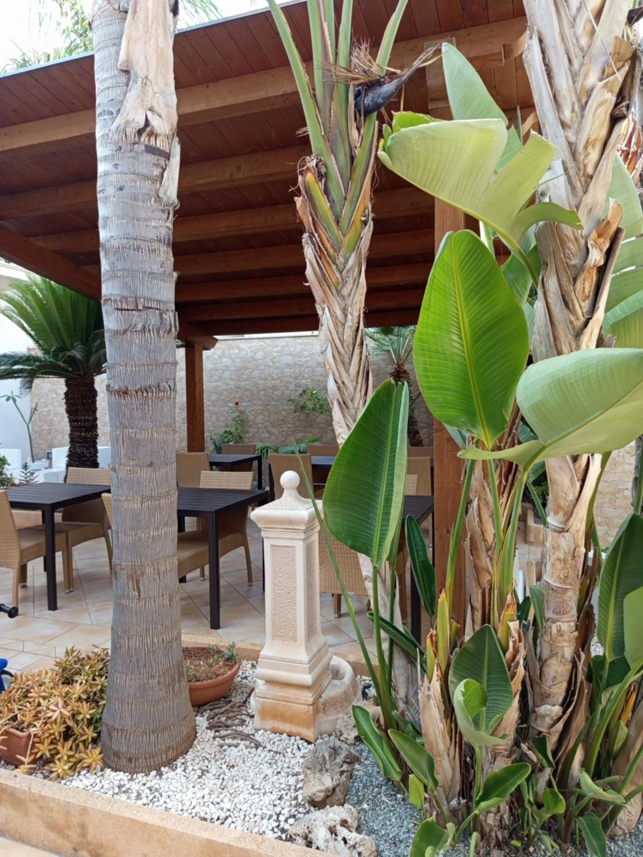 Day in Amaryllis Hotel