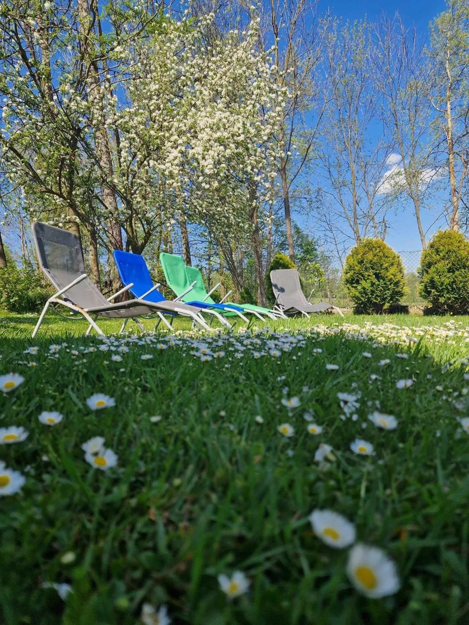 Day in Apartamenty i Pokoje w Willi na Ubocy